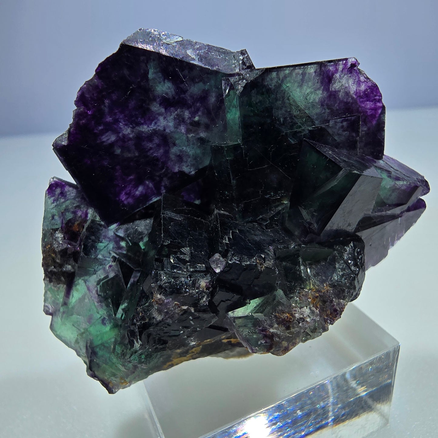 Seltene Phantom Fluorit Würfel Stufe zonal grün lila Okorusu, Namibia 43*38*18mm
