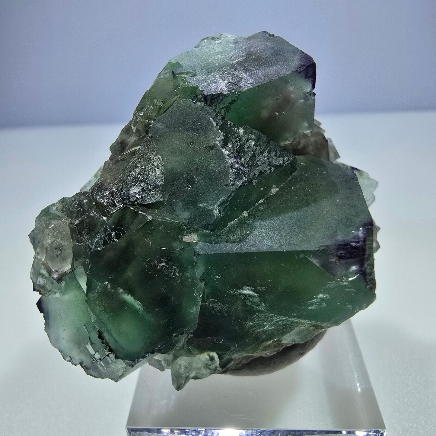 Seltene Phantom Fluorit Würfel Stufe zonal grün lila Okorusu, Namibia 47*43*26mm