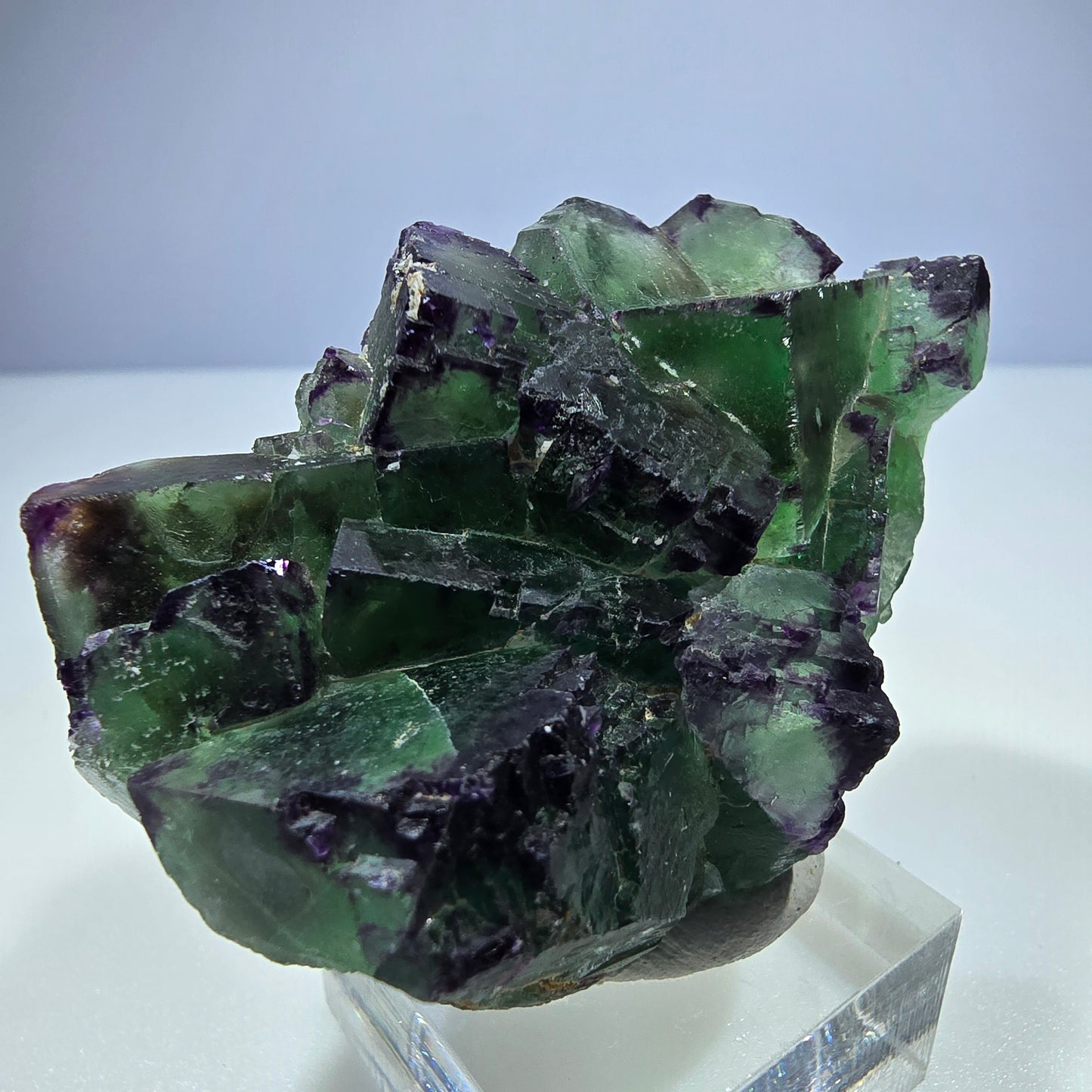 Seltene Phantom Fluorit Würfel Stufe zonal grün lila Okorusu, Namibia 61*41*27mm