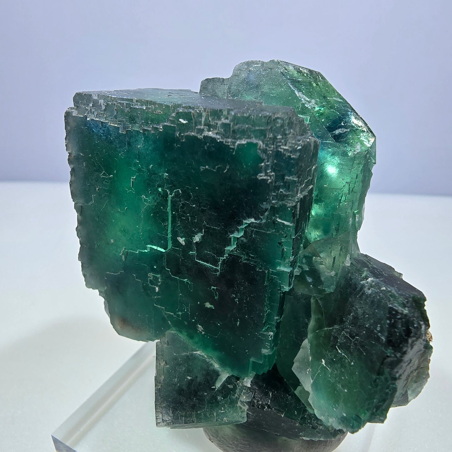 Phantom Fluorit Würfel Stufe parkettiert grün türkis Okorusu, Namibia 65*54*33mm