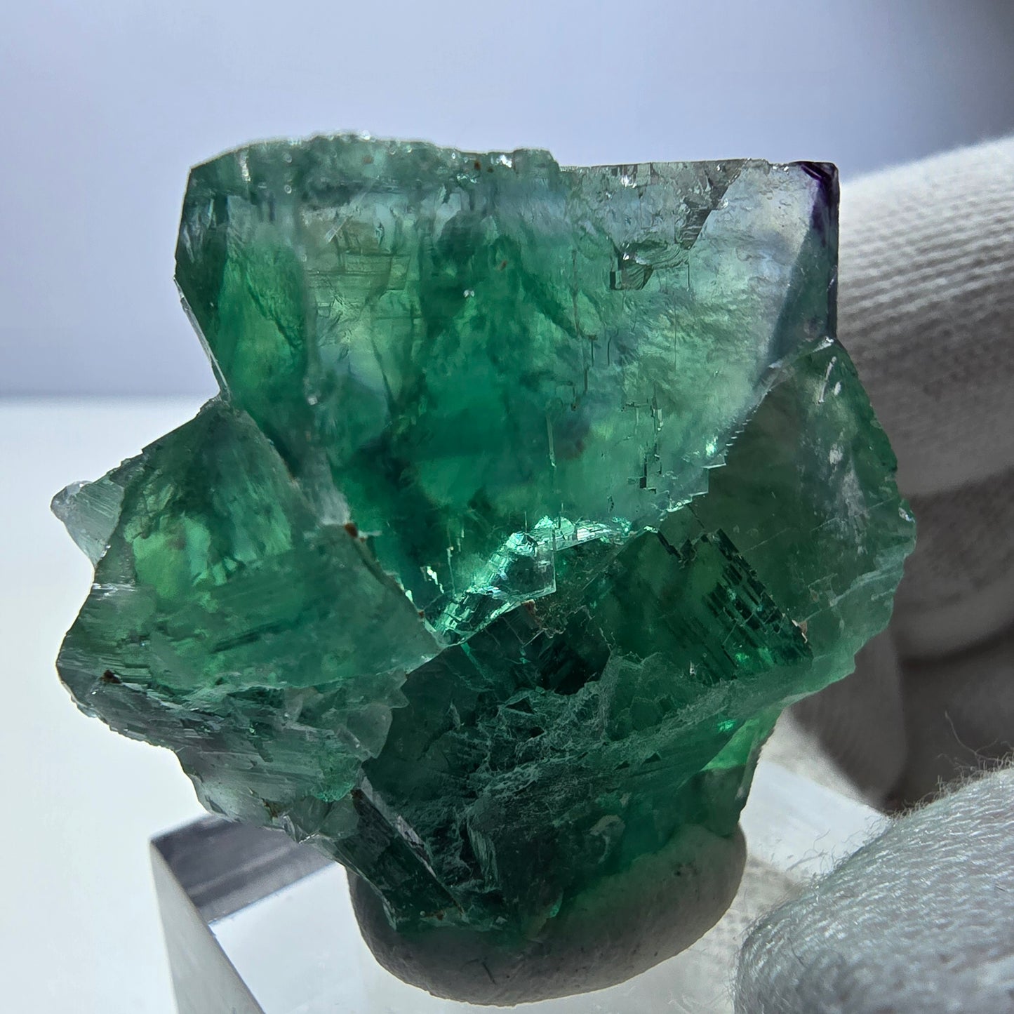 Phantom Fluorit Würfel Stufe parkettiert grün türkis Okorusu, Namibia 37*36*24mm