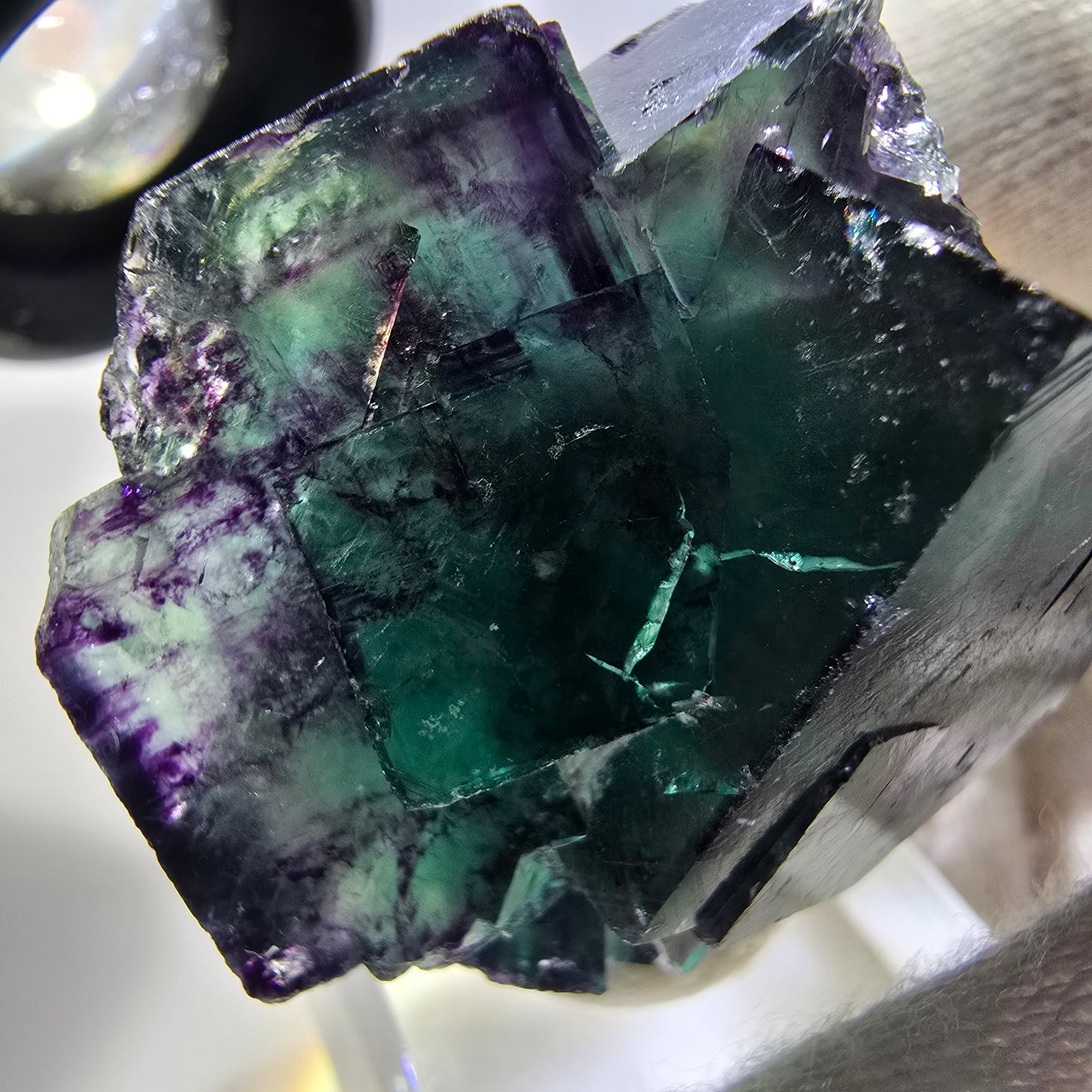Seltene Phantom Fluorit Würfel Stufe zonal grün lila Okorusu, Namibia 37*37*29mm