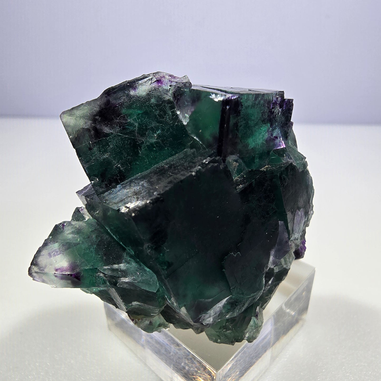 Spécimen de cube de fluorite fantôme transparente, vert-violet zonal, Okorusu, Namibie, 47 x 43 x 31 mm