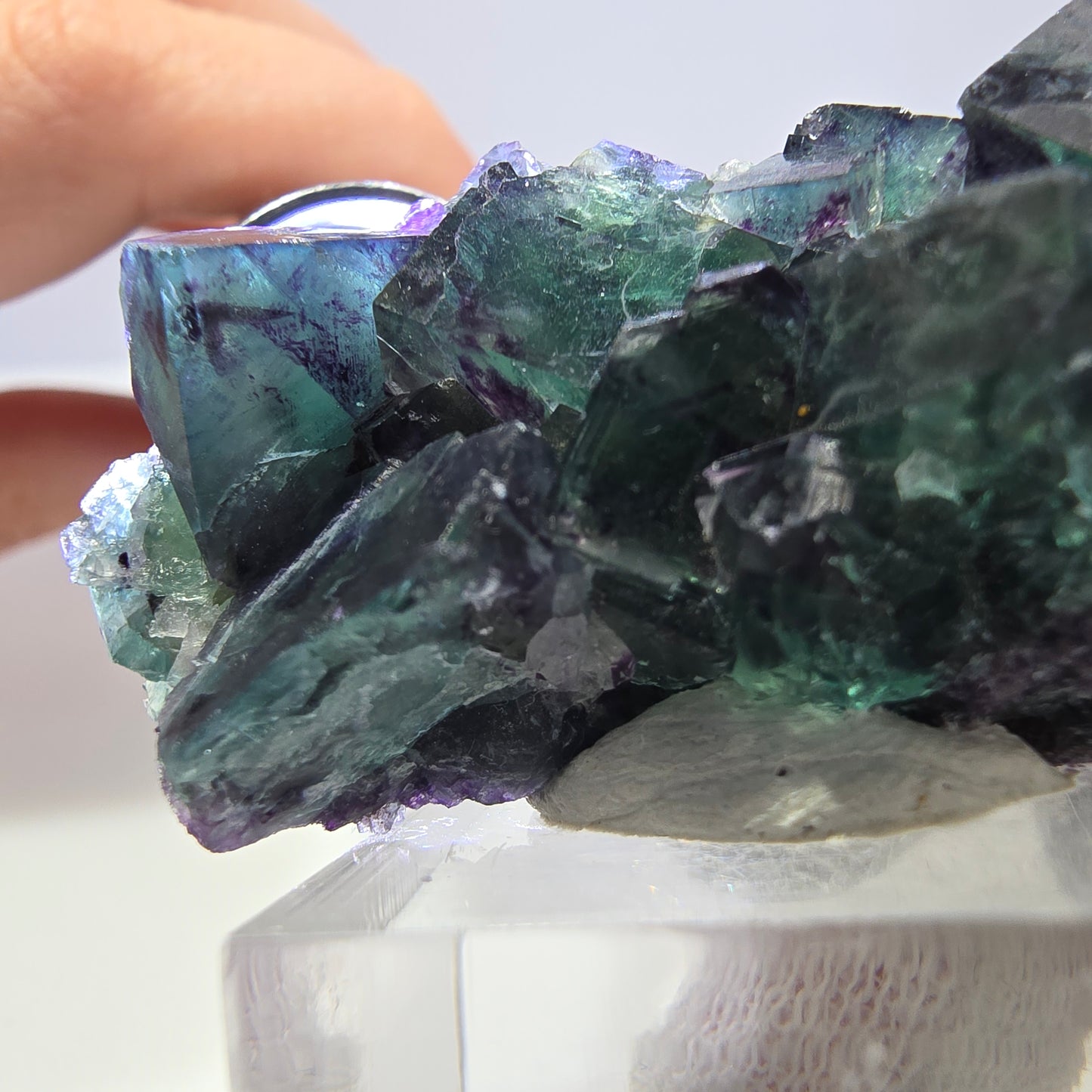 Spécimen de cube de fluorite fantôme transparente, vert-violet zonal, Okorusu, Namibie, 57 x 32 x 18 mm