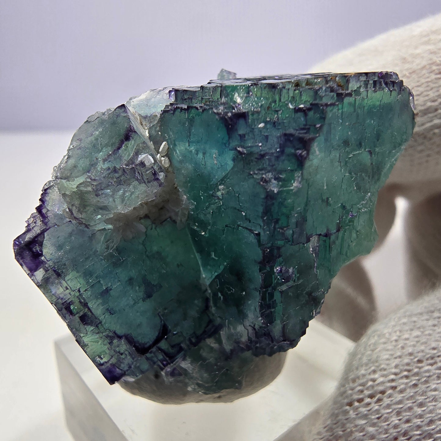 Spécimen de cube de fluorite fantôme parqueté zonal Okorusu, Namibie 39*31*19 mm