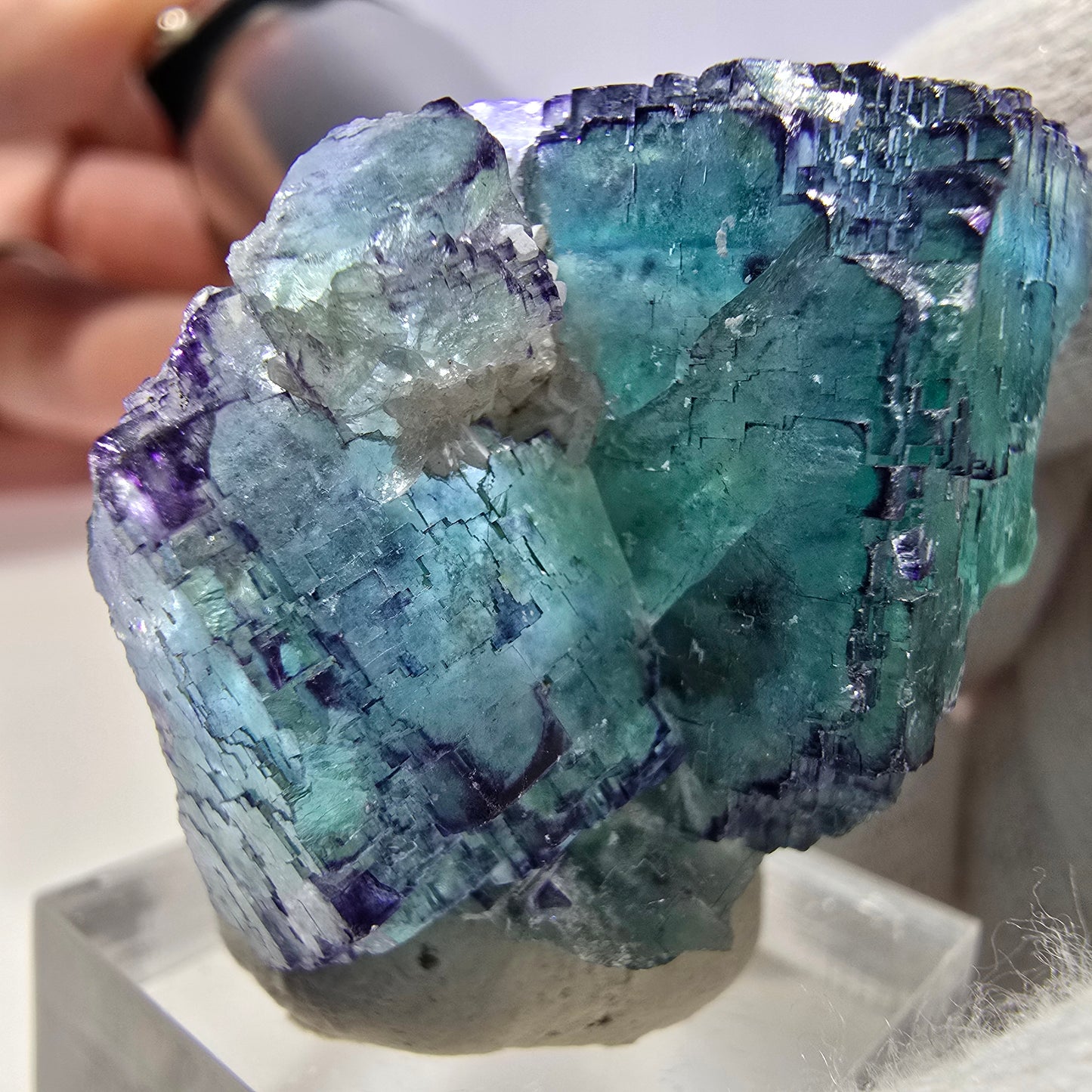 Spécimen de cube de fluorite fantôme parqueté zonal Okorusu, Namibie 39*31*19 mm