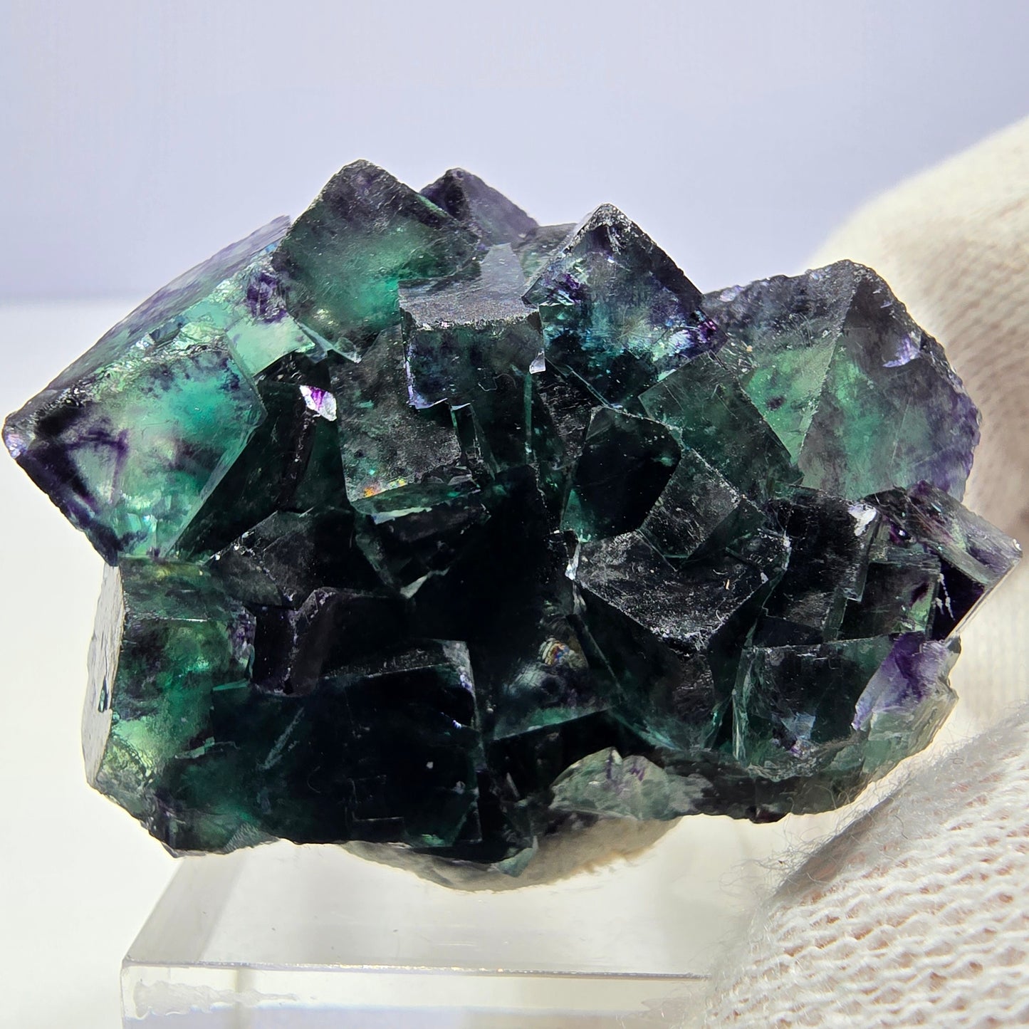 Spécimen de cube de fluorite fantôme transparente, vert-violet zonal, Okorusu, Namibie, 40 x 31 x 28 mm