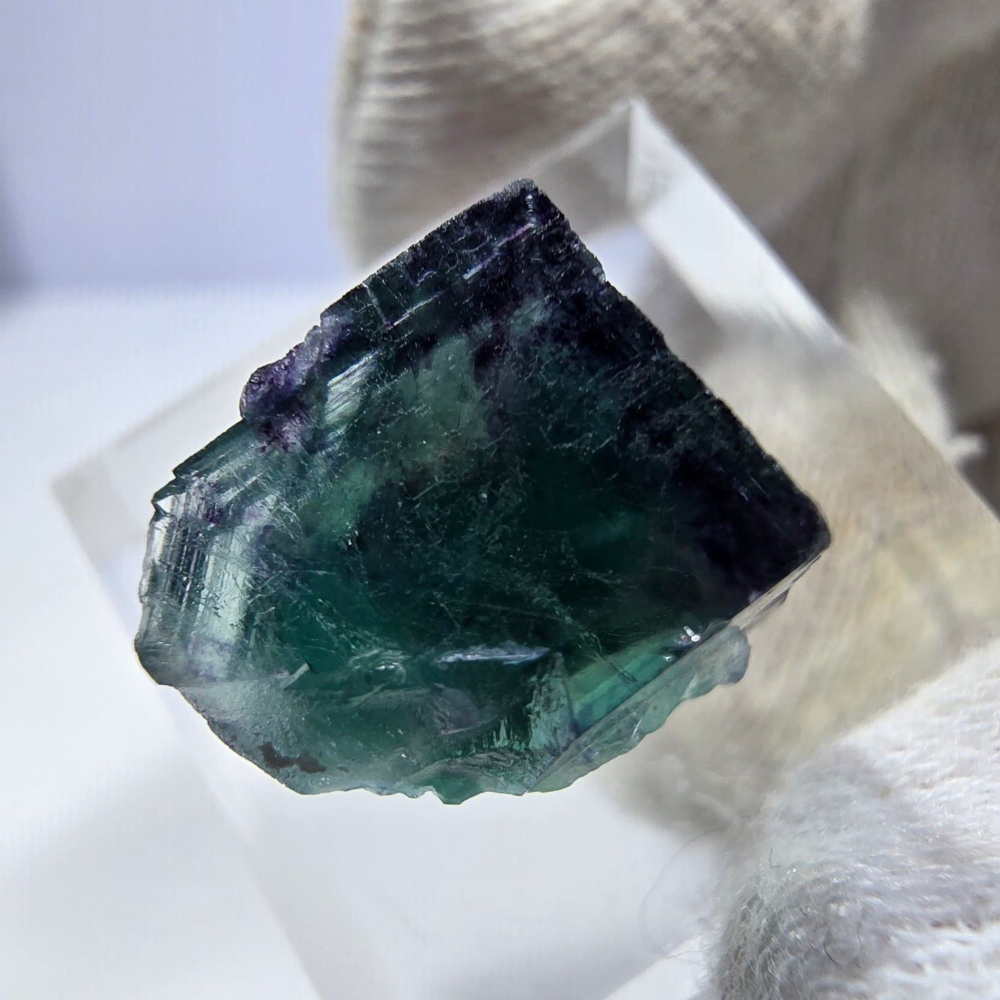 Spécimen de cube de fluorite fantôme transparente, vert-violet zonal, Okorusu, Namibie, 20 x 15 x 11 mm