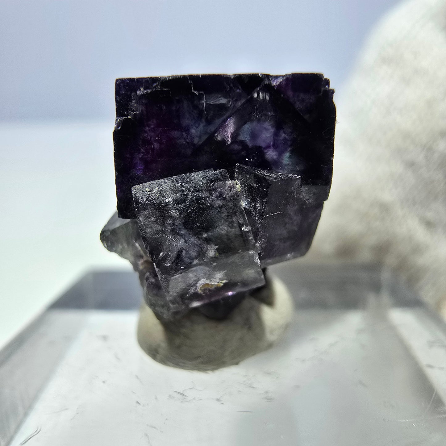 Spécimen de cube de fluorite fantôme transparente, vert-violet zonal, Okorusu, Namibie, 16 x 16 x 15 mm