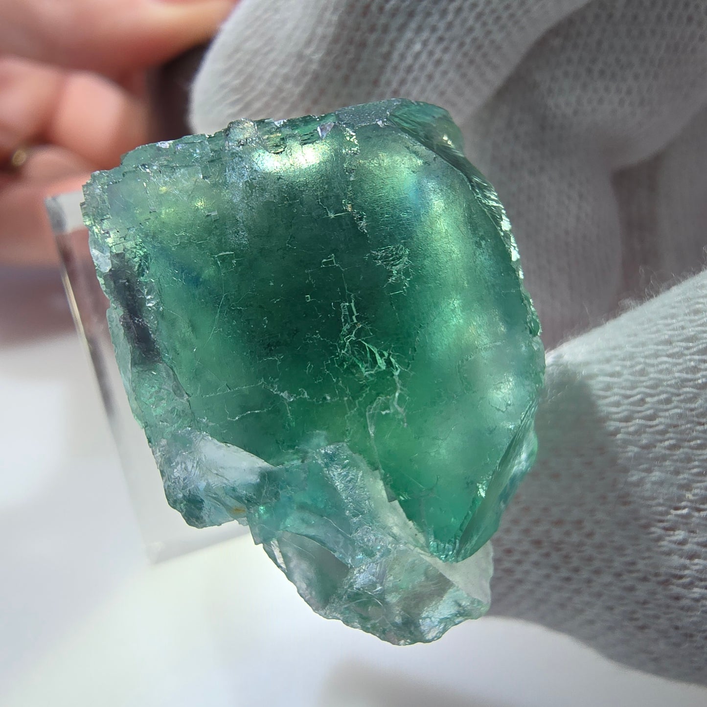 Cube de fluorite fantôme transparent parqueté vert turquoise Okorusu Namibie 33*22*22mm
