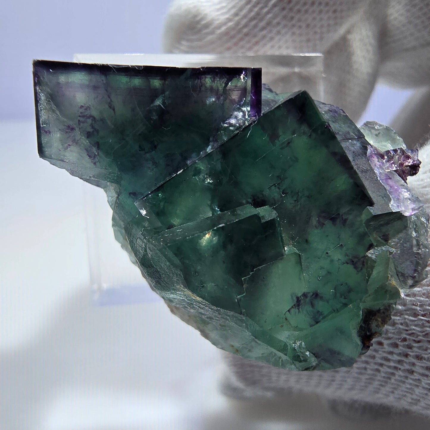 Seltene Phantom Fluorit Würfel Stufe zonal grün lila Okorusu, Namibia 36*27*17mm