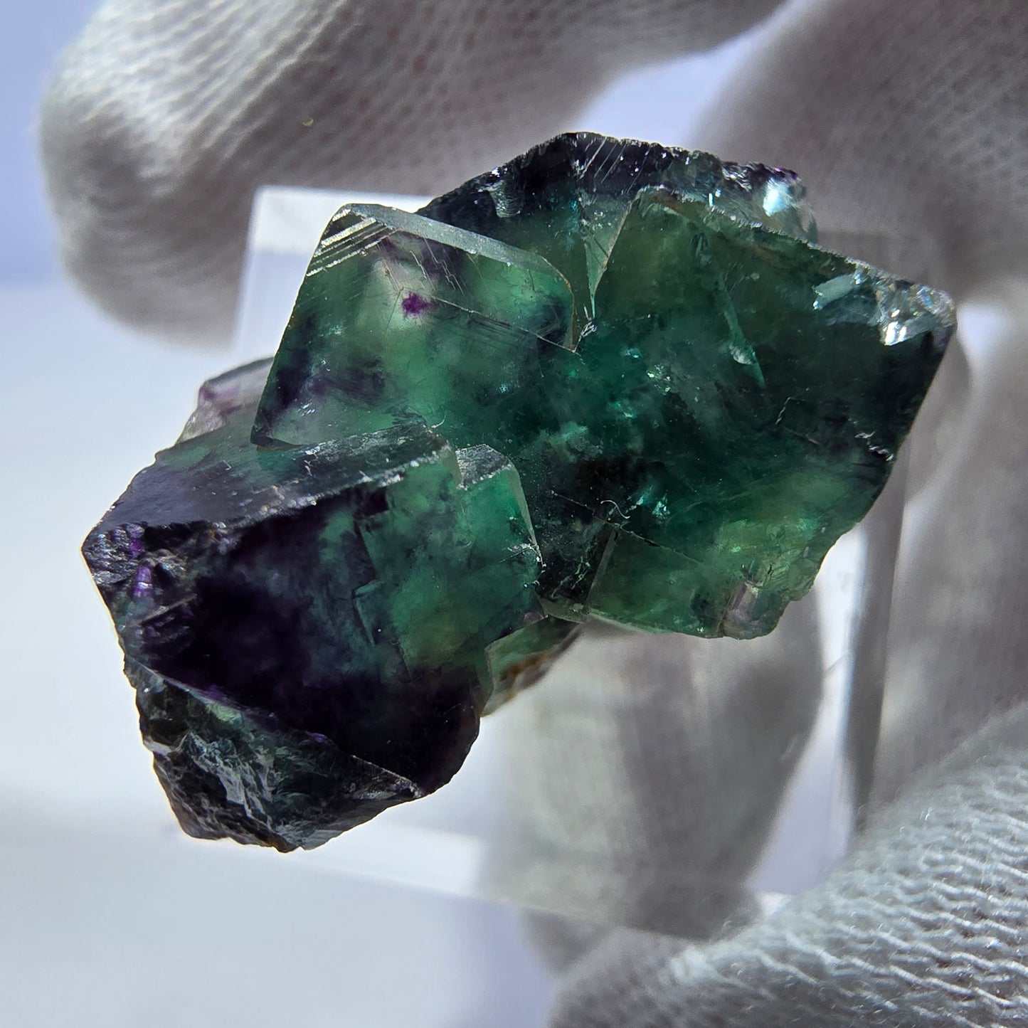 Spécimen rare de cube de fluorite fantôme, vert zonal et violet, Okorusu, Namibie, 29 x 17 x 17 mm