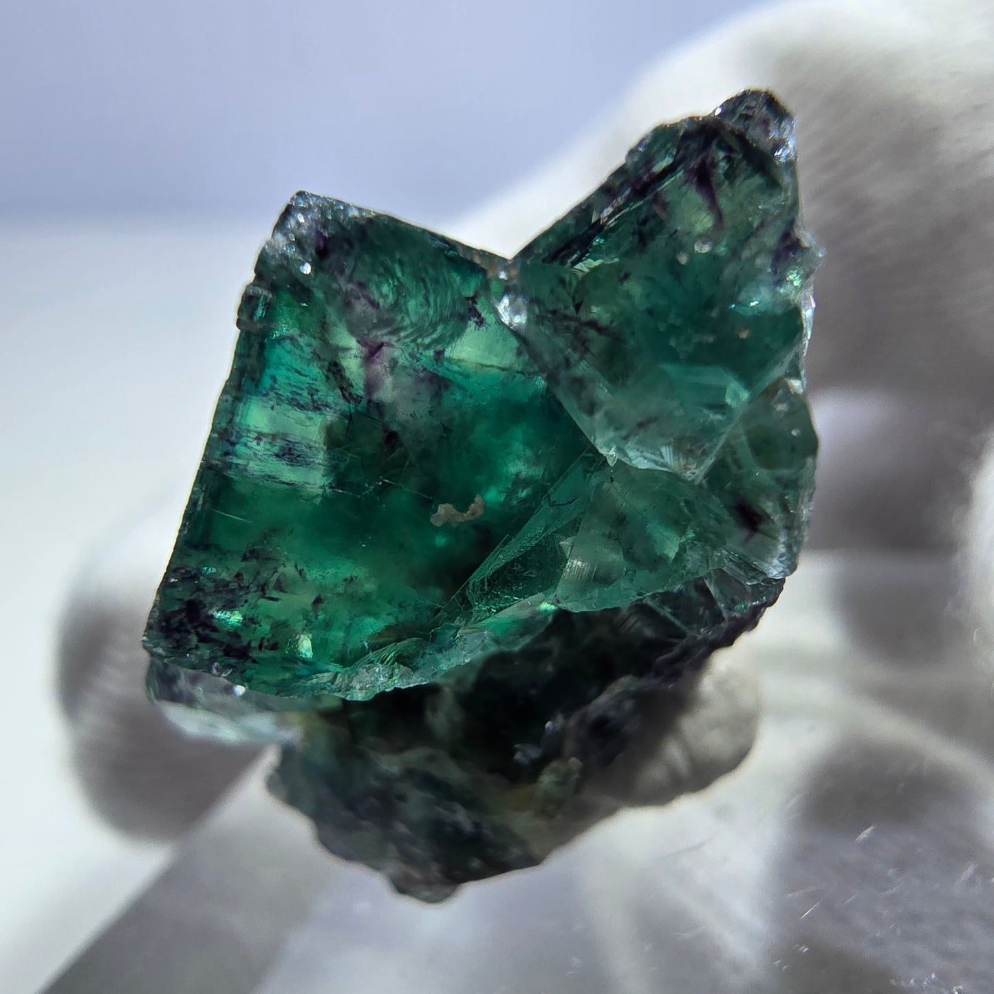 Spécimen rare de cube de fluorite fantôme, vert zonal et violet, Okorusu, Namibie, 25 x 23 x 18 mm