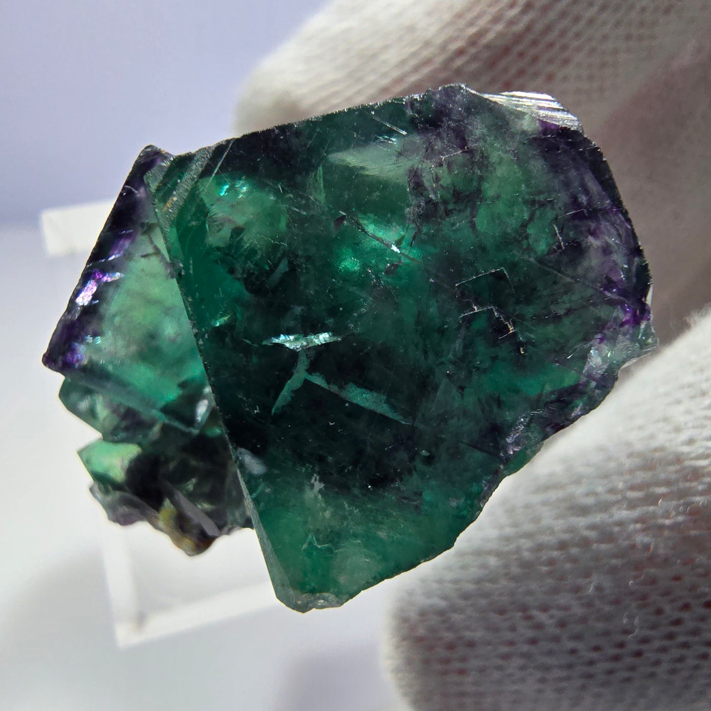 Spécimen rare de cube de fluorite fantôme, vert-violet zonal, Okorusu, Namibie, 32 x 20 x 22 mm