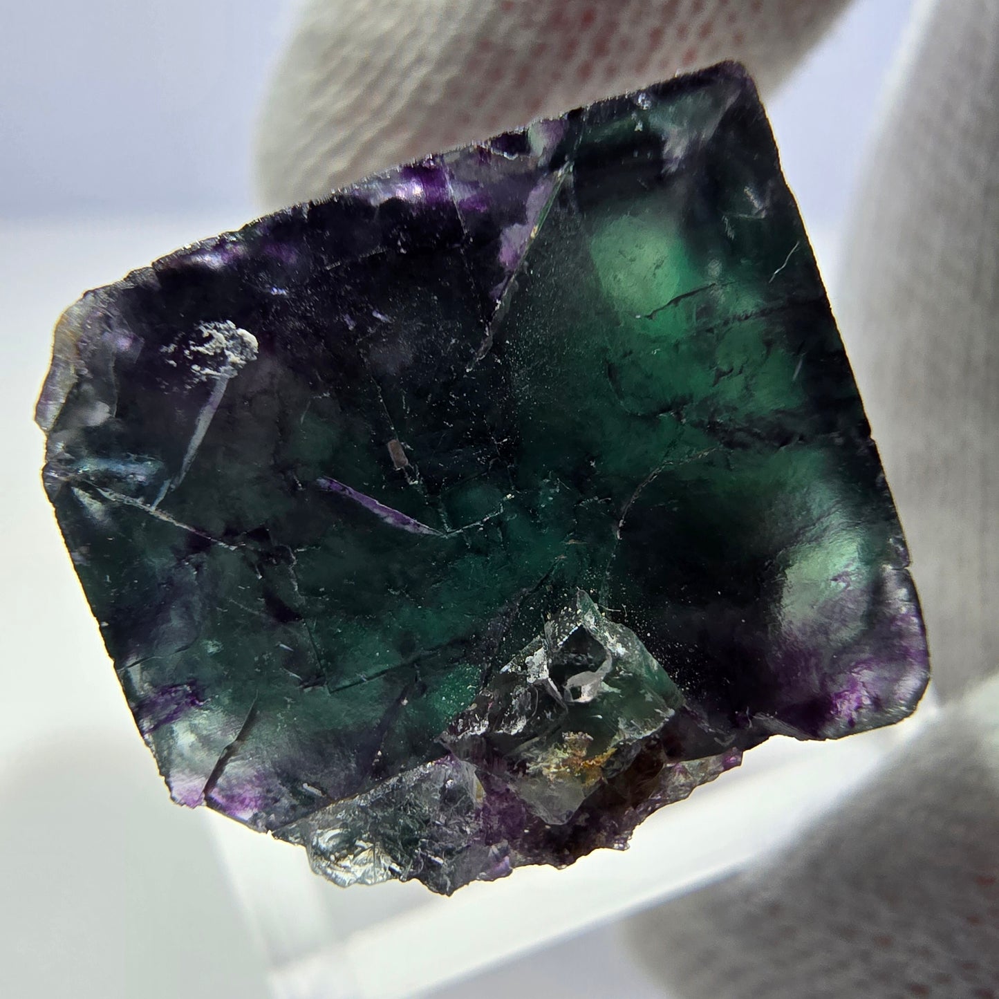 Rare spécimen de cube de fluorite fantôme, vert-violet zonal, Okorusu, Namibie, 25 x 23 x 16 mm