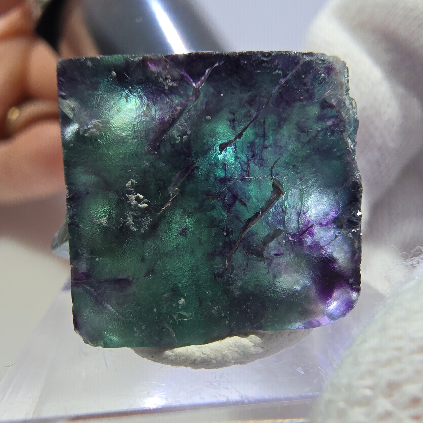 Rare spécimen de cube de fluorite fantôme, vert-violet zonal, Okorusu, Namibie, 25 x 23 x 16 mm