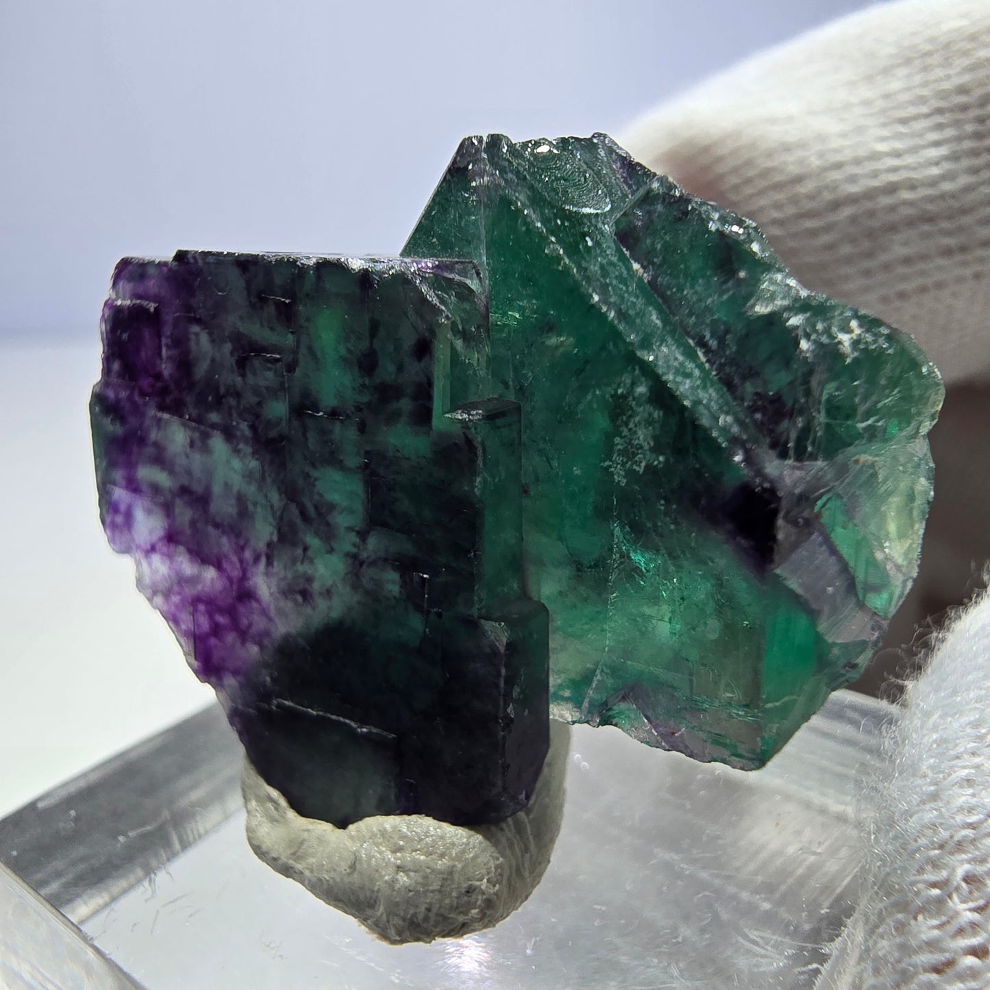 Spécimen rare de cube de fluorite fantôme, vert zonal et violet, Okorusu, Namibie, 32 x 28 x 19 mm