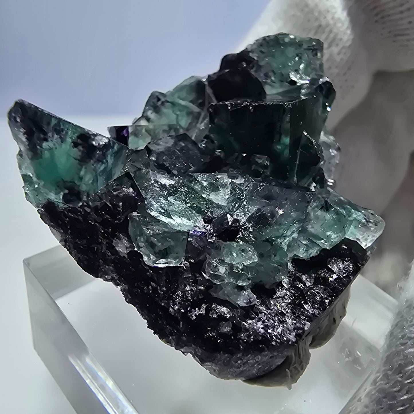 Spécimen rare de cube de fluorite fantôme, vert zonal et violet, Okorusu, Namibie, 38 x 32 x 13 mm