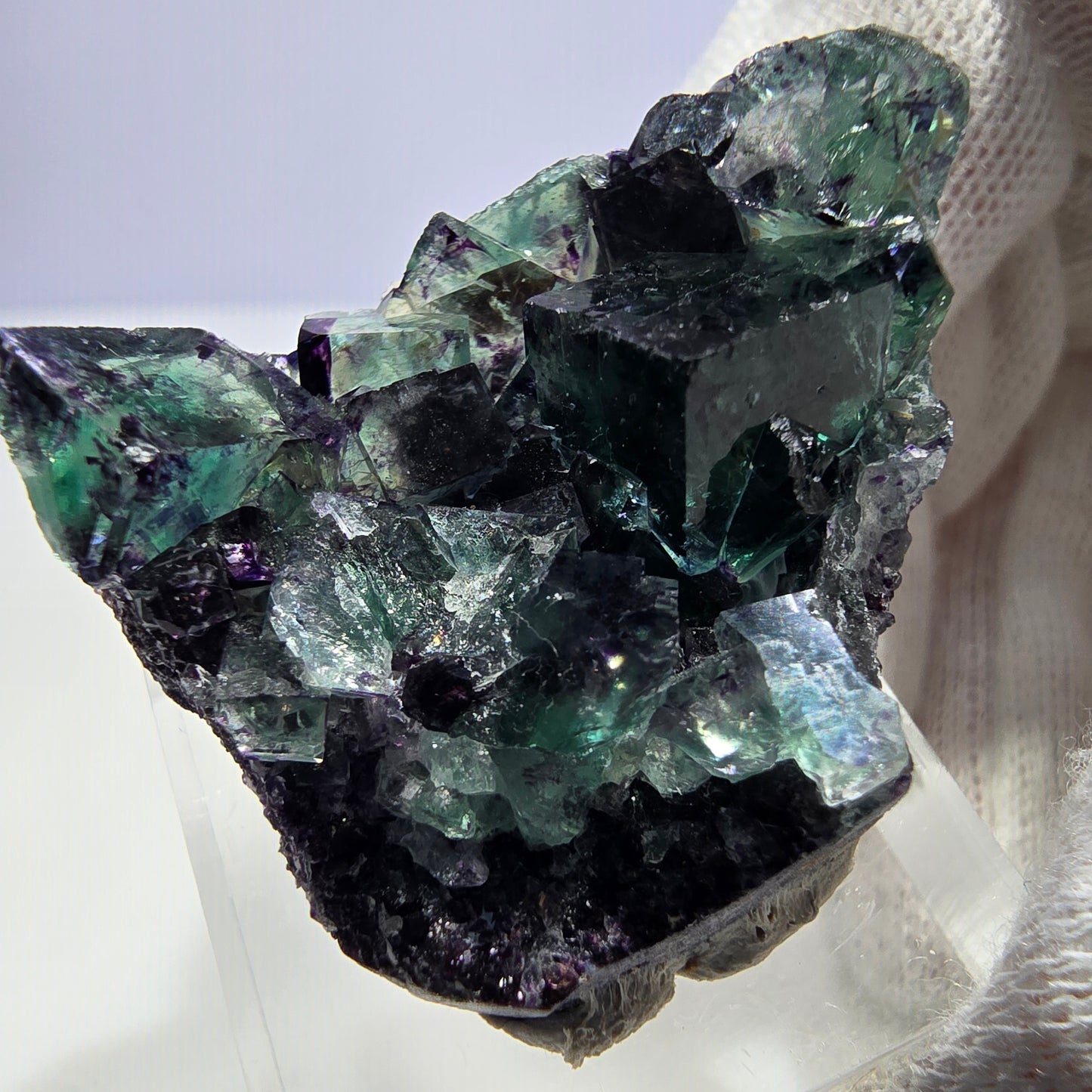 Spécimen rare de cube de fluorite fantôme, vert zonal et violet, Okorusu, Namibie, 38 x 32 x 13 mm