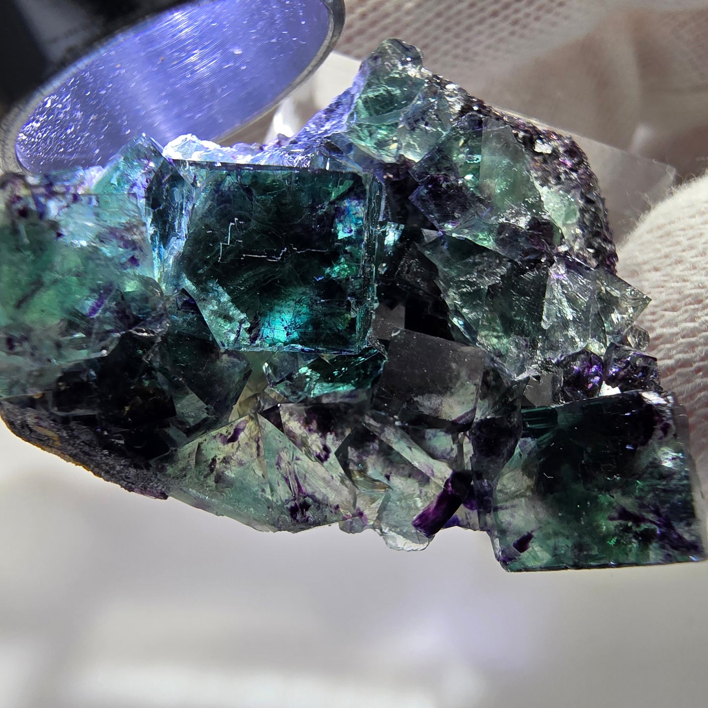 Spécimen rare de cube de fluorite fantôme, vert zonal et violet, Okorusu, Namibie, 38 x 32 x 13 mm