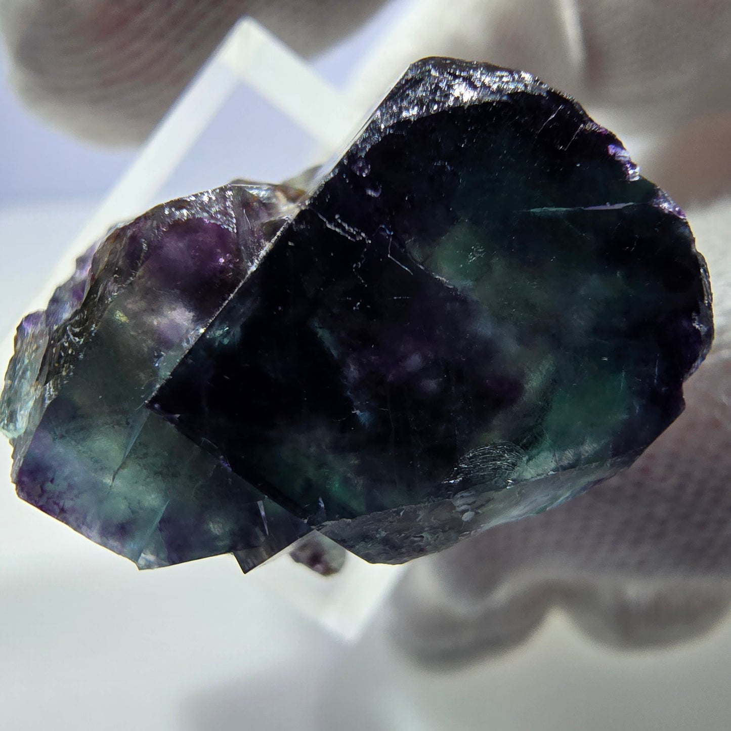 Seltene Phantom Fluorit Würfel Stufe zonal grün lila Okorusu, Namibia 25*22*21mm