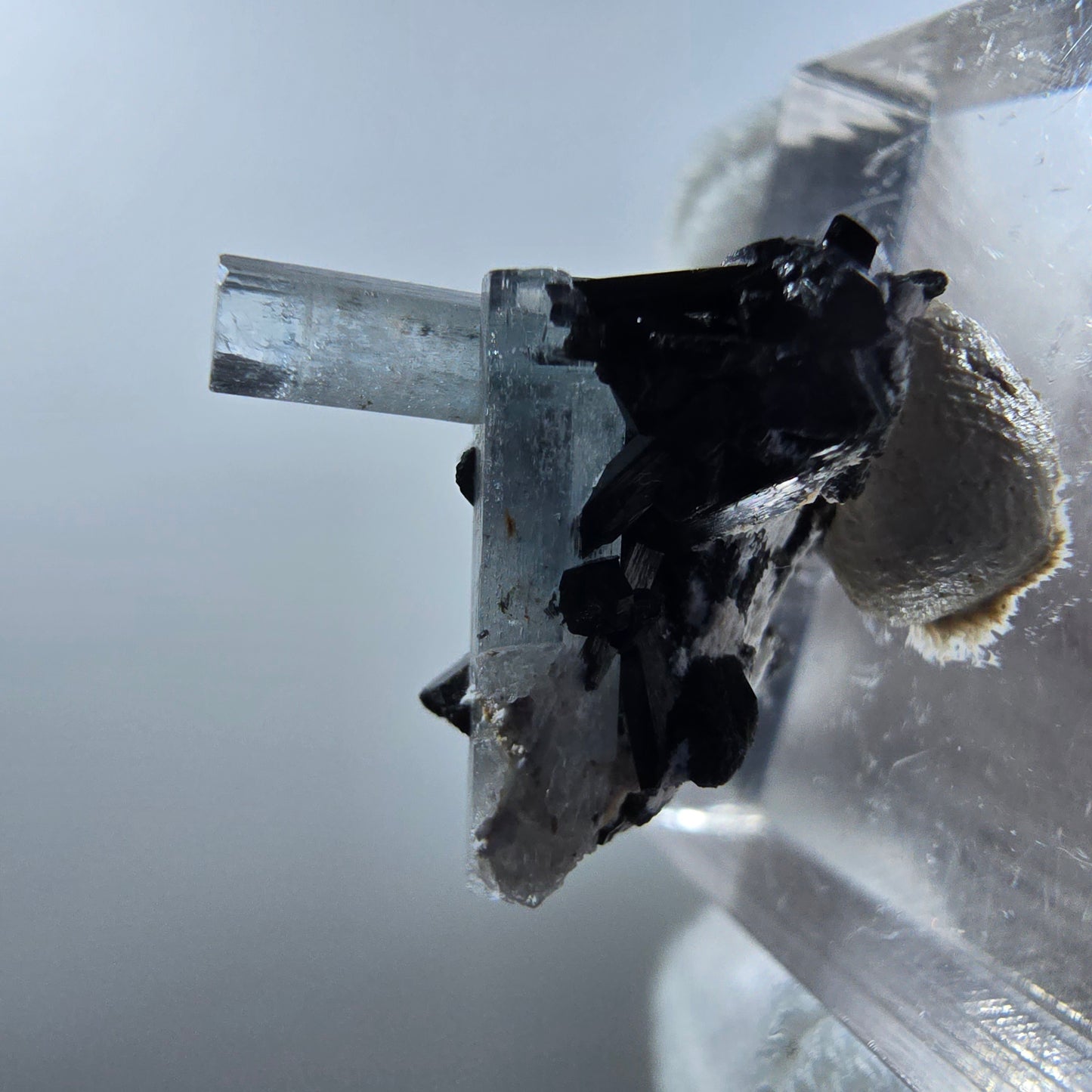 Aigue-marine Setlene, tourmaline Schörl stade Erongo, Namibie 19*17*12mm