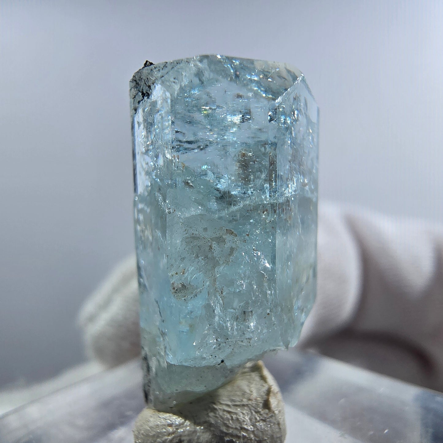 Aigue-marine Setlene, spécimen de tourmaline Schorl, Erongo, Namibie, 23 x 11 x 9 mm