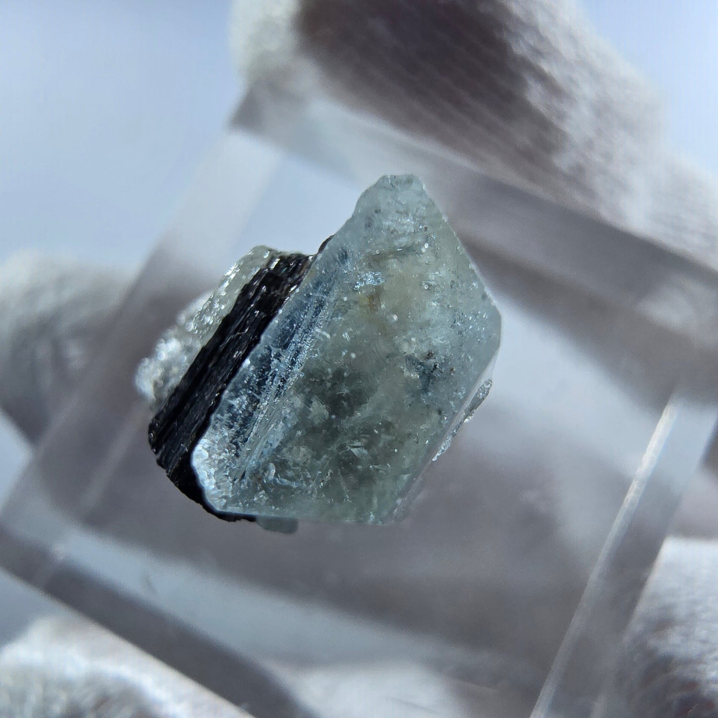 Aigue-marine Setlene, tourmaline Schörl stade Erongo, Namibie 16*10*12mm