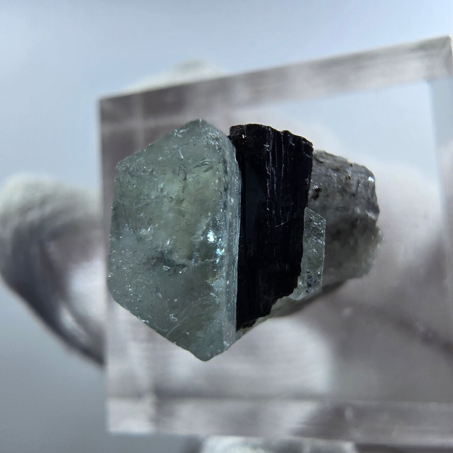 Aigue-marine Setlene, tourmaline Schörl stade Erongo, Namibie 16*10*12mm