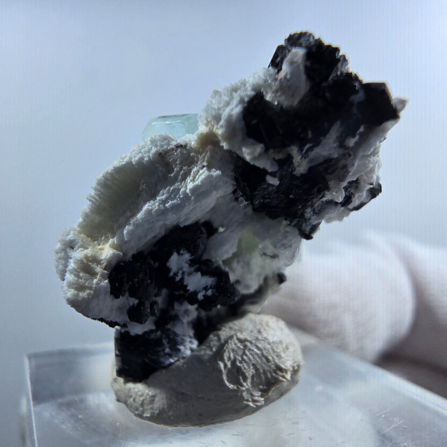 Aigue-marine de Setlene, tourmaline de Schörl, stade orthose Erongo, Namibie 24*23*17 mm