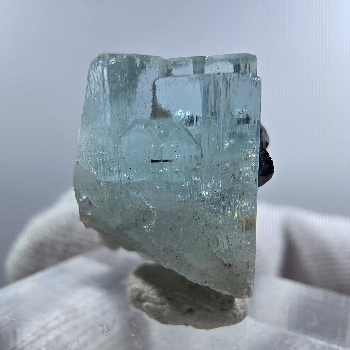Aigue-marine Setlene, tourmaline Schörl stade Erongo, Namibie 21*15*14mm