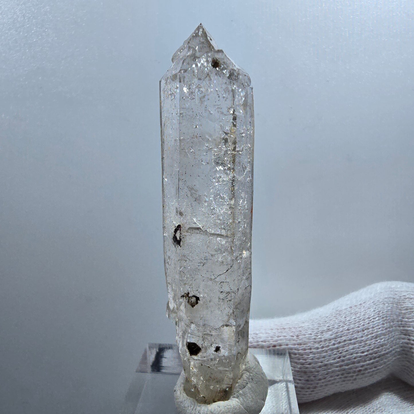 Phantom Smoky Quartz Skeleton Scepter Valentine Pocket Goboboseb Namibia 61*15*12mm