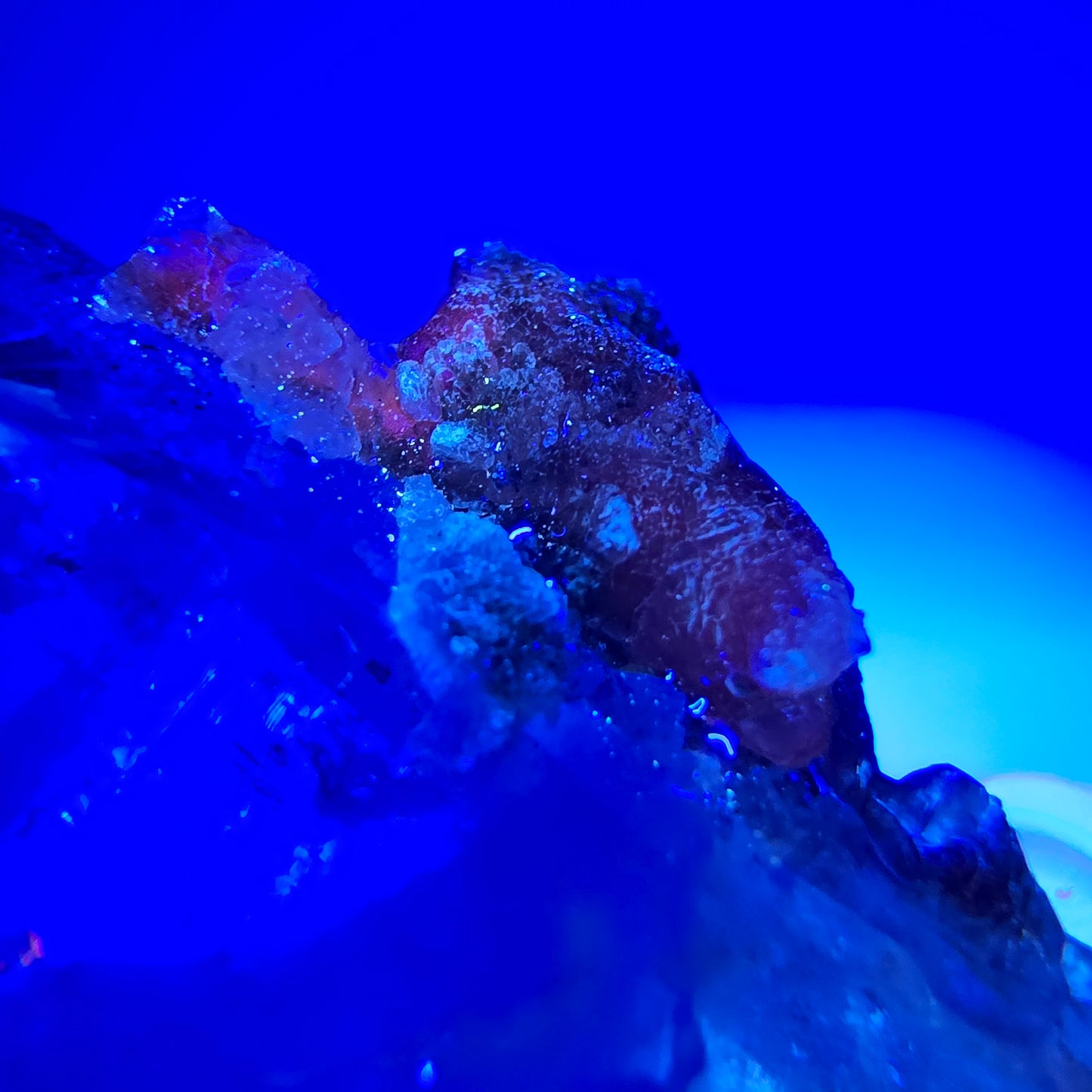 Quartz fumé DT Enhydro, sceptre, calcite UV, 4 parures de poche Bubble Valentine. Namibie, 76 x 26 x 12 mm.