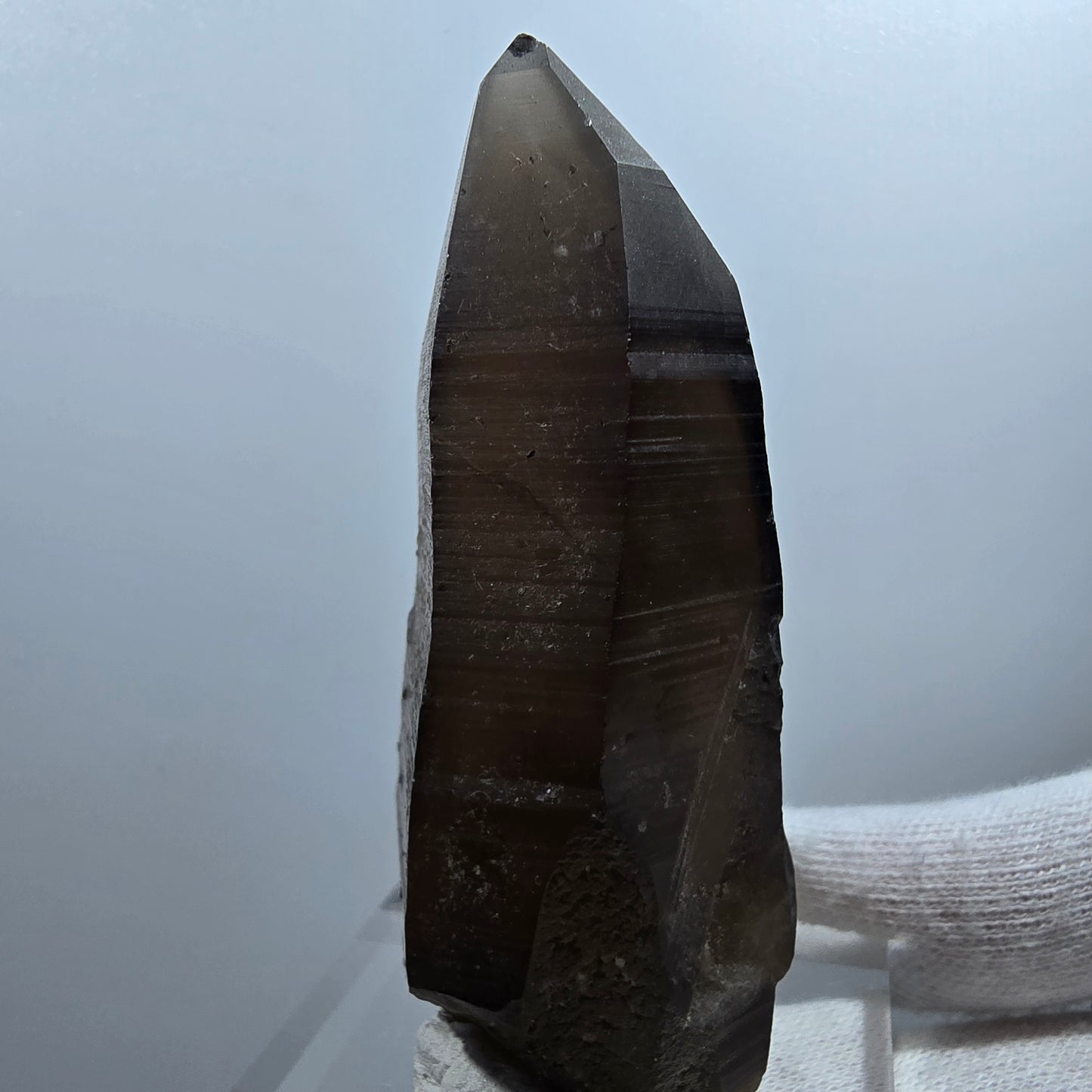 Sceptre de poche en quartz fumé fantôme lémurien Valentine Goboboseb Namibie 72 x 35 x 29 mm