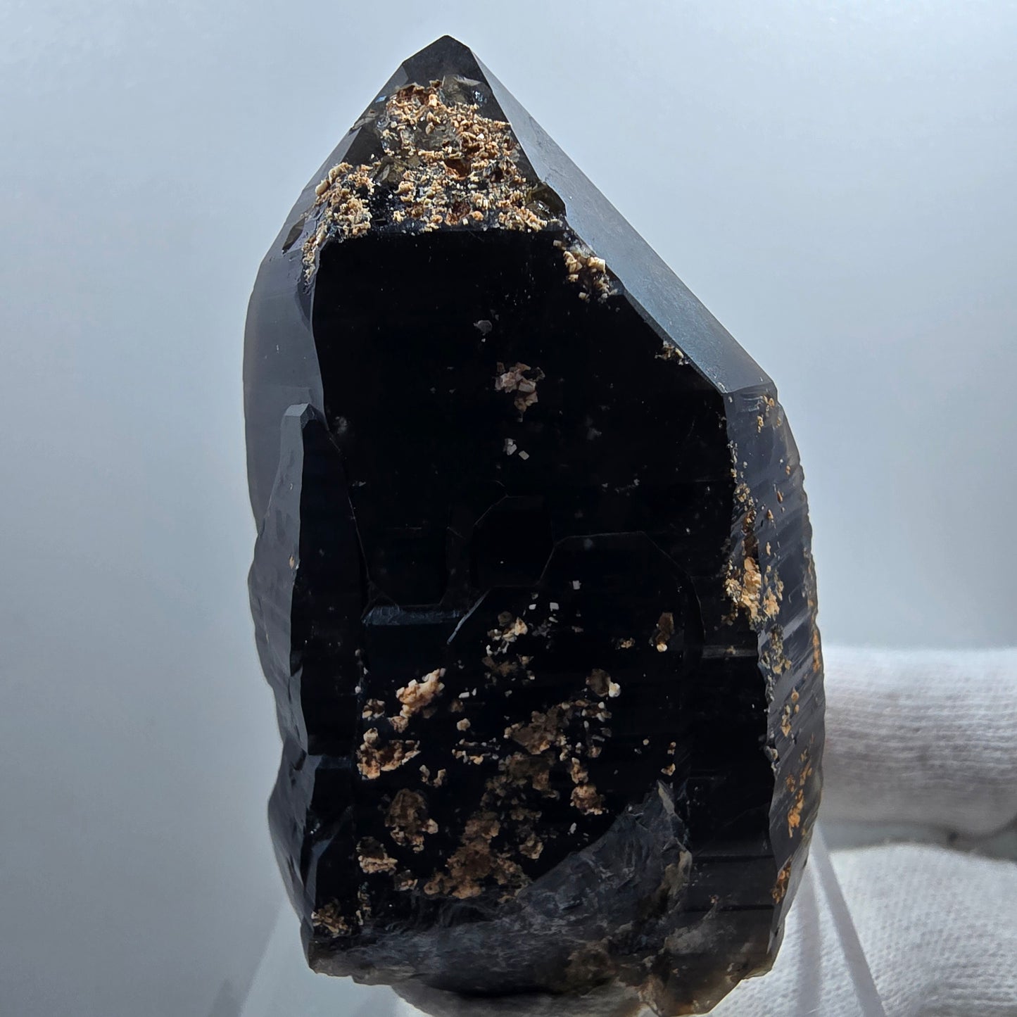 Sceptre de poche en quartz fumé squelette fantôme lémurien, Goboboseb de la Saint-Valentin, Namibie, 66 x 41 x 36 mm