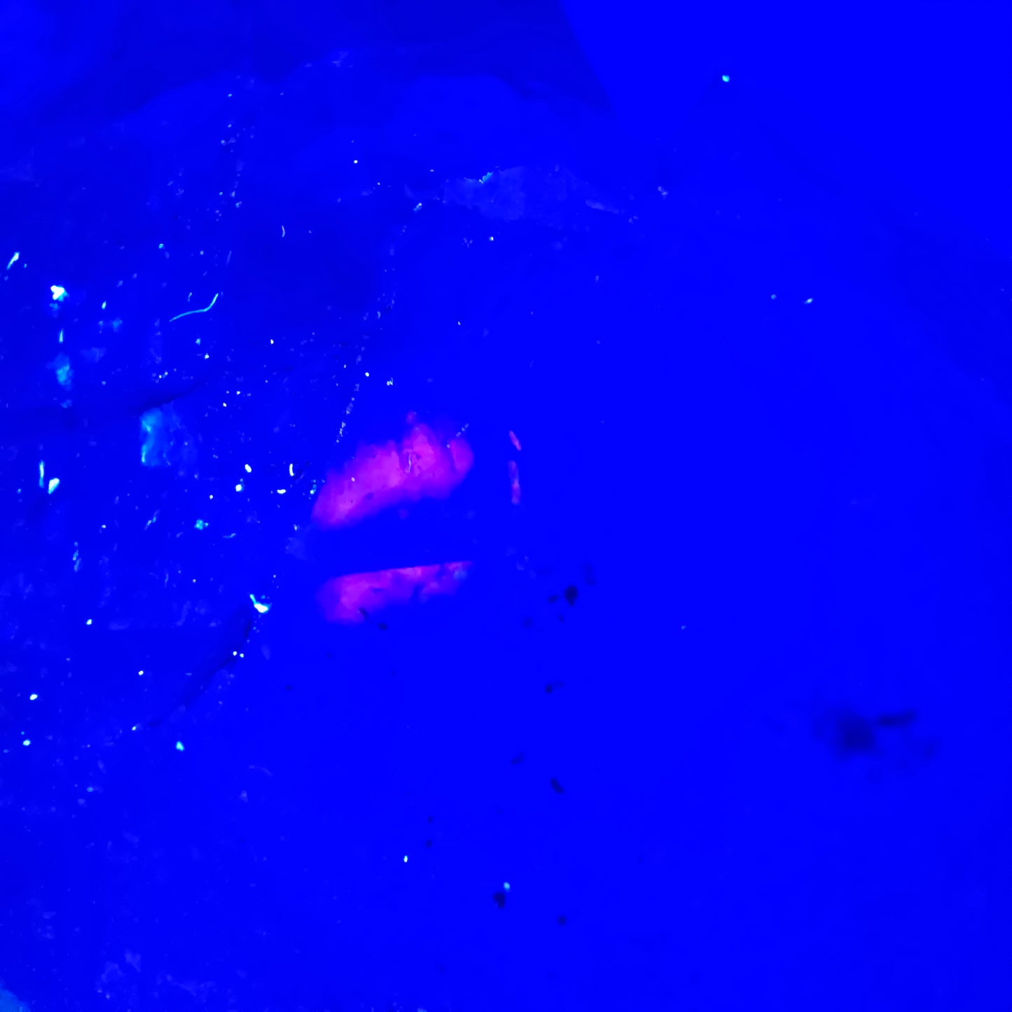 XL Enhydro Skeleton Quartz fumé DT, calcite UV, 2x Bubble Valentine Pocket Namibie 165*56*45mm