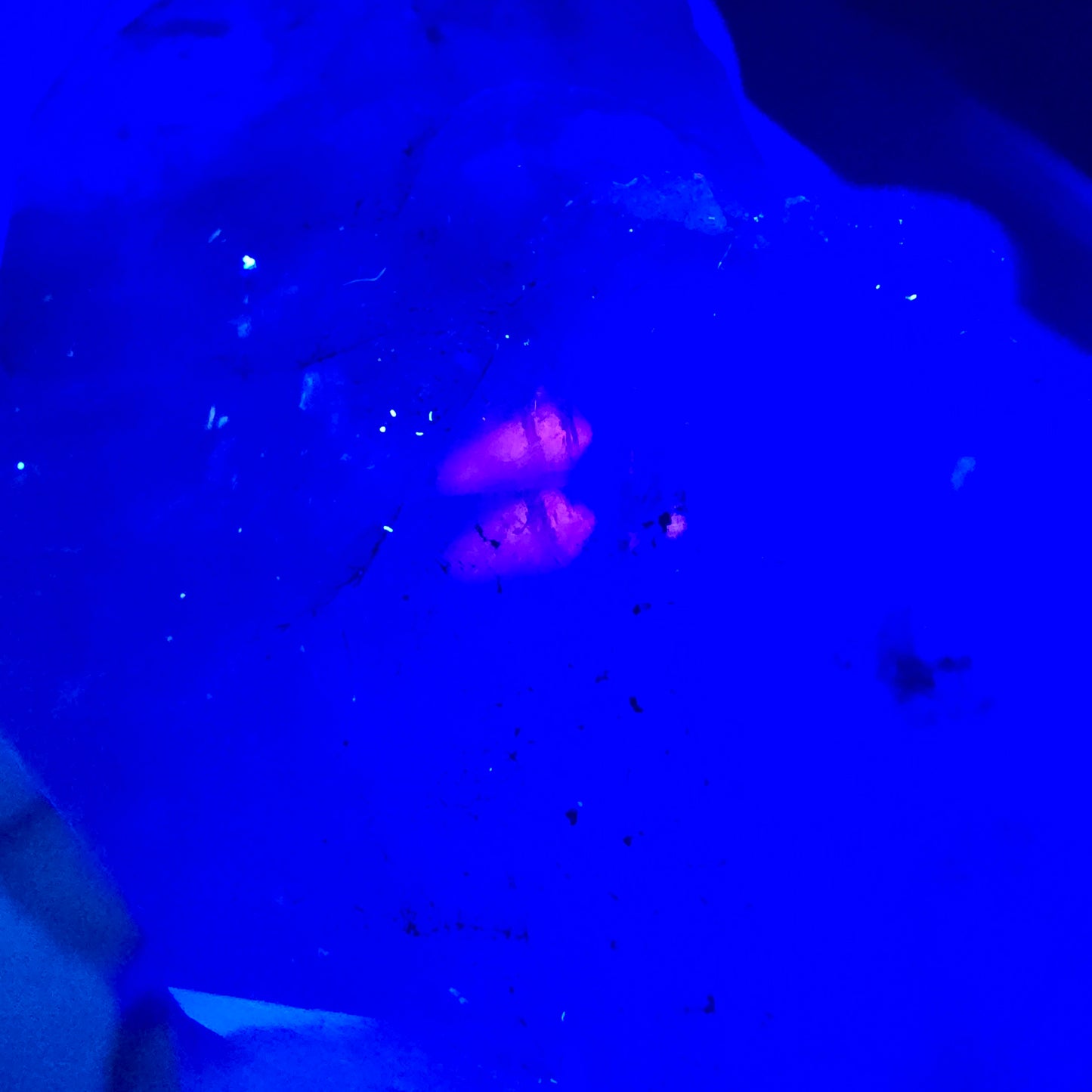 XL Enhydro Skeleton Quartz fumé DT, calcite UV, 2x Bubble Valentine Pocket Namibie 165*56*45mm
