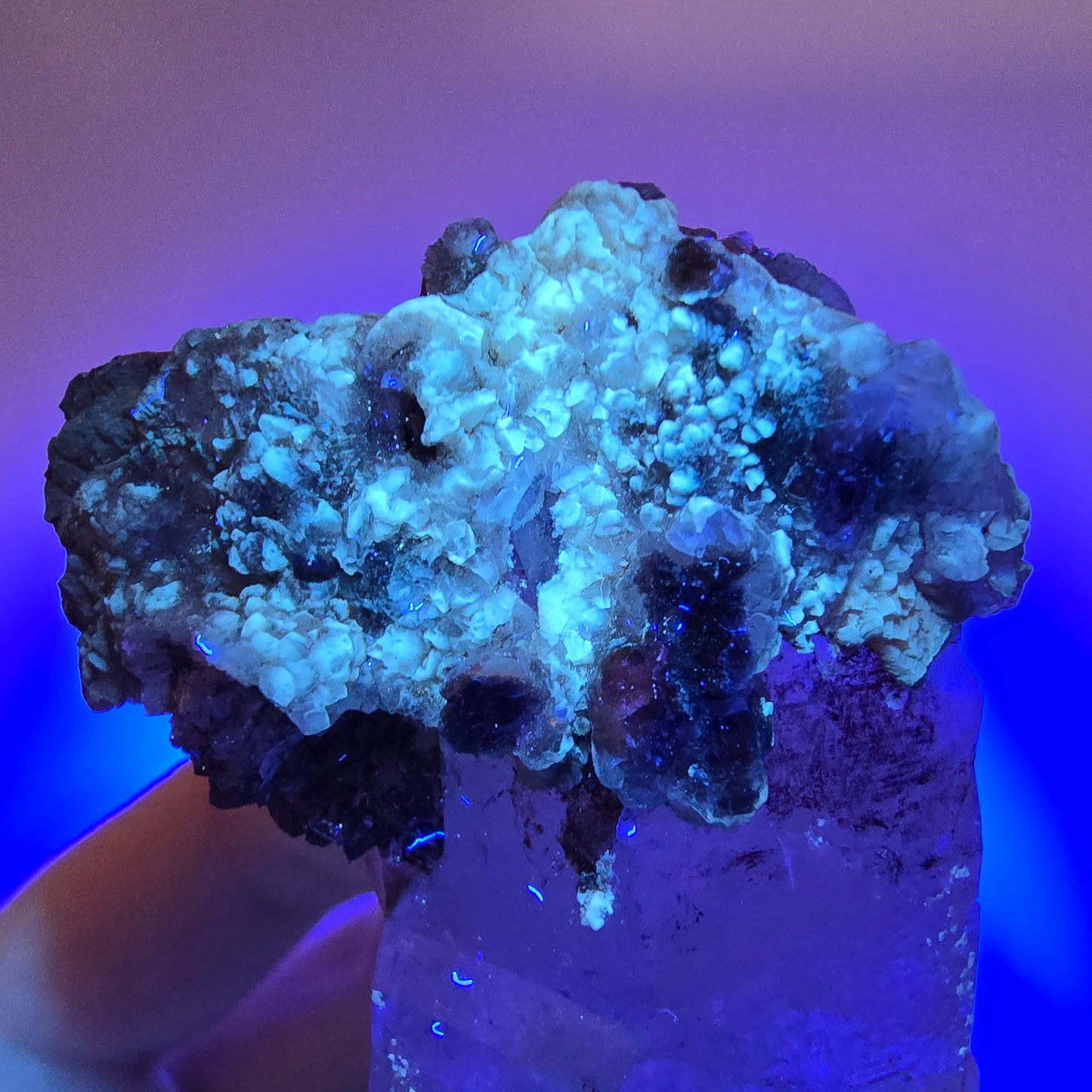 Quartz fumé squelette fantôme lémurien DT, calcite UV Valentine Pocket, Namibie 133 x 46 x 36 mm