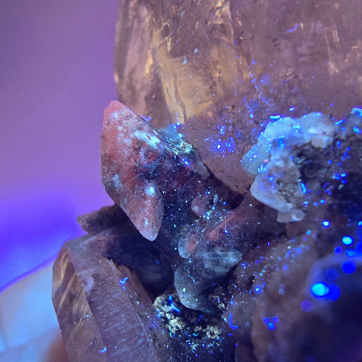 Sceptre squelette en quartz fumé Enhydro, calcite UV Valentine Pocket Goboboseb Namibie 99 x 56 x 45 mm