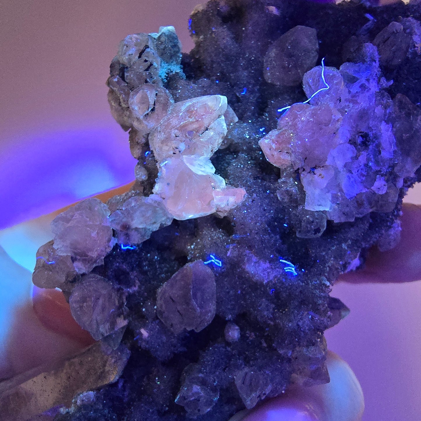 Quartz fumé Harlequin DT, calcite UV, spécimen de chrysocolle, Valentine Pocket, Namibie, 108 x 64 x 44 mm