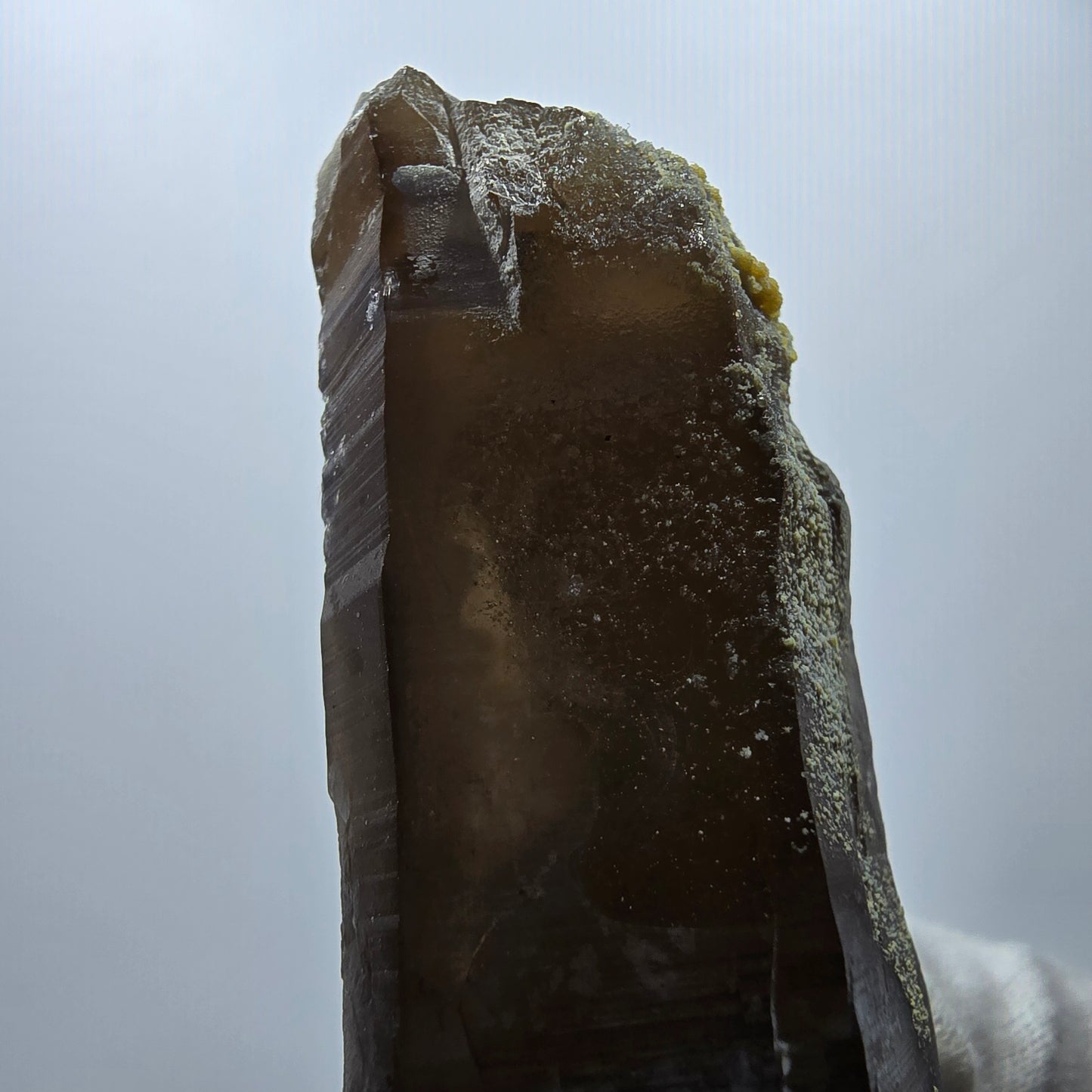 Quartz fumé squelette fantôme, spécimen d'hyalite, Erongo, Namibie, 105 x 42 x 31 mm