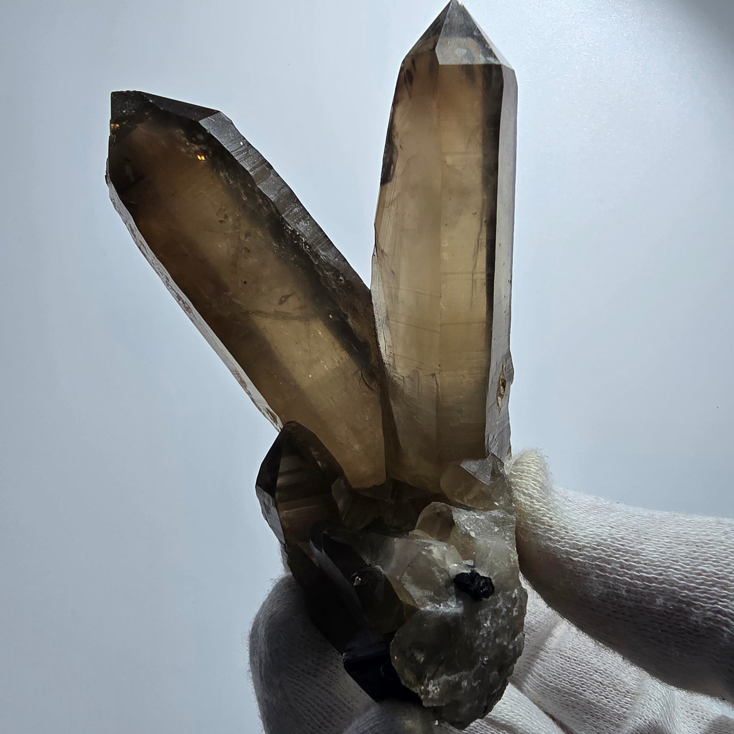 Spécimen de quartz fumé, hyalite et tourmaline Schorl, squelette fantôme, Erongo, Namibie, 95 x 70 x 63 mm