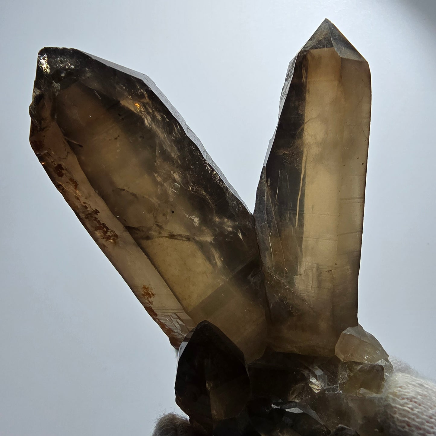 Spécimen de quartz fumé, hyalite et tourmaline Schorl, squelette fantôme, Erongo, Namibie, 95 x 70 x 63 mm