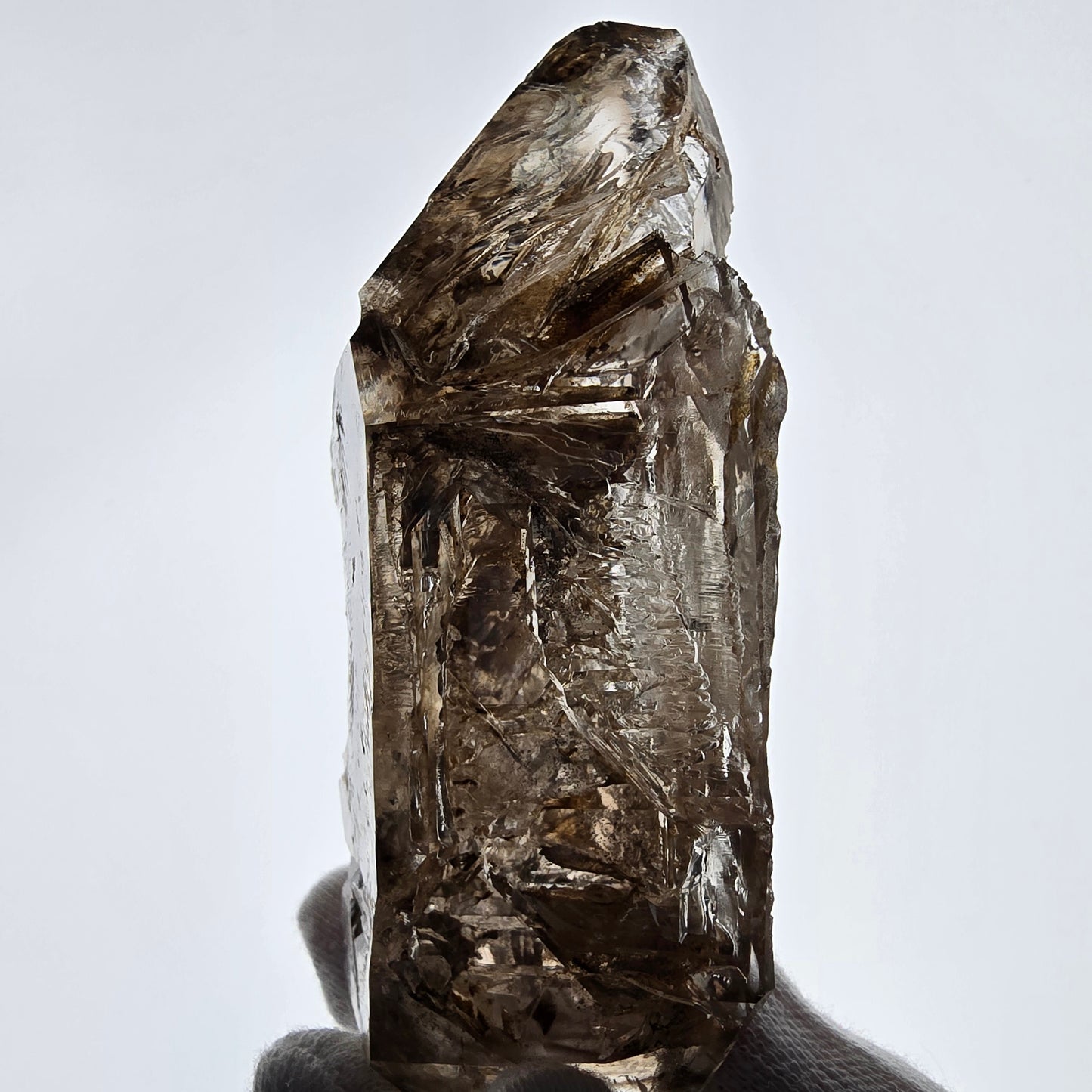 Sceptre de poche Saint-Valentin en quartz fumé fantôme squelette, Namibie 122 x 72 x 32 mm