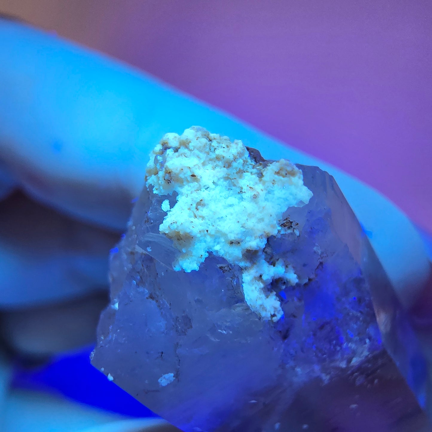 Quartz fumé fantôme Enhydro Harlequin, mine de calcite UV Streep, Namibie, 41 x 16 x 9 mm