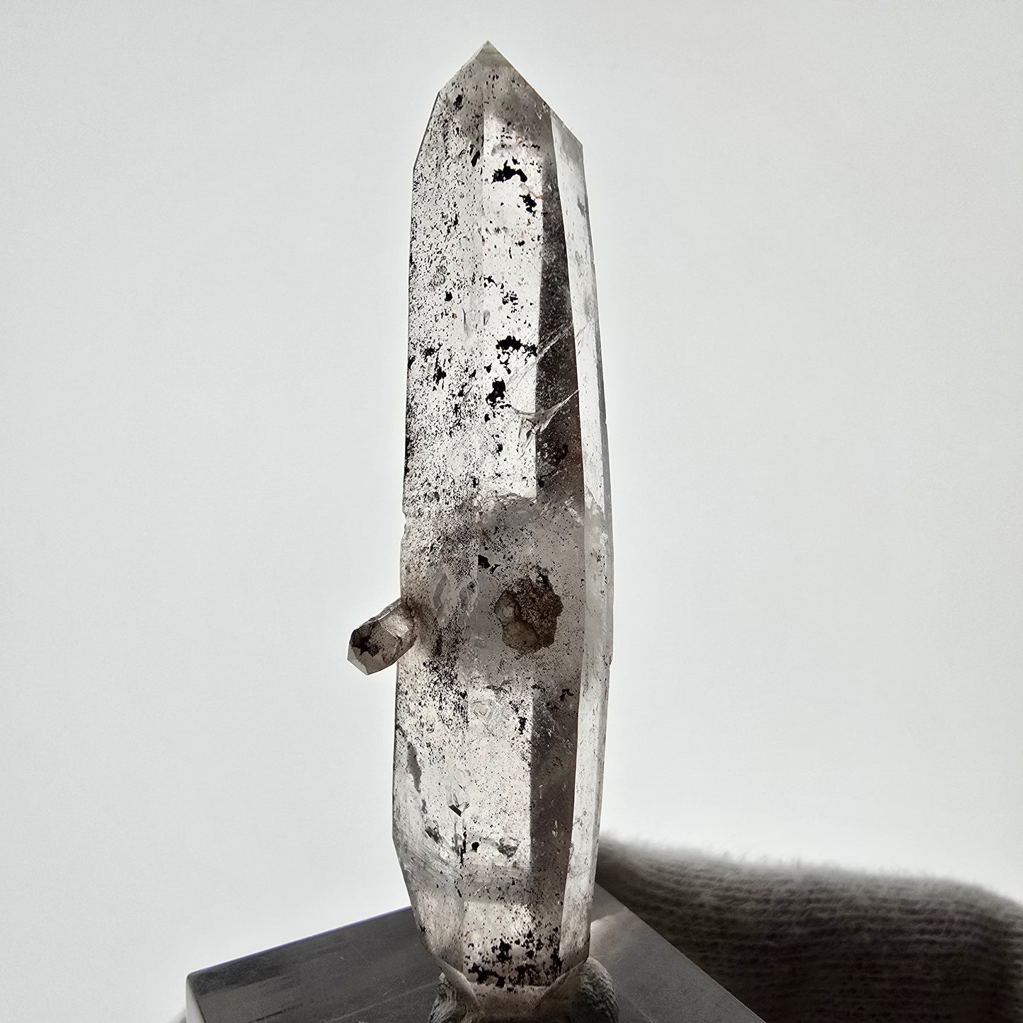Sceptre de poche Saint-Valentin en quartz fumé fantôme squelette, Namibie 60 x 18 x 14 mm