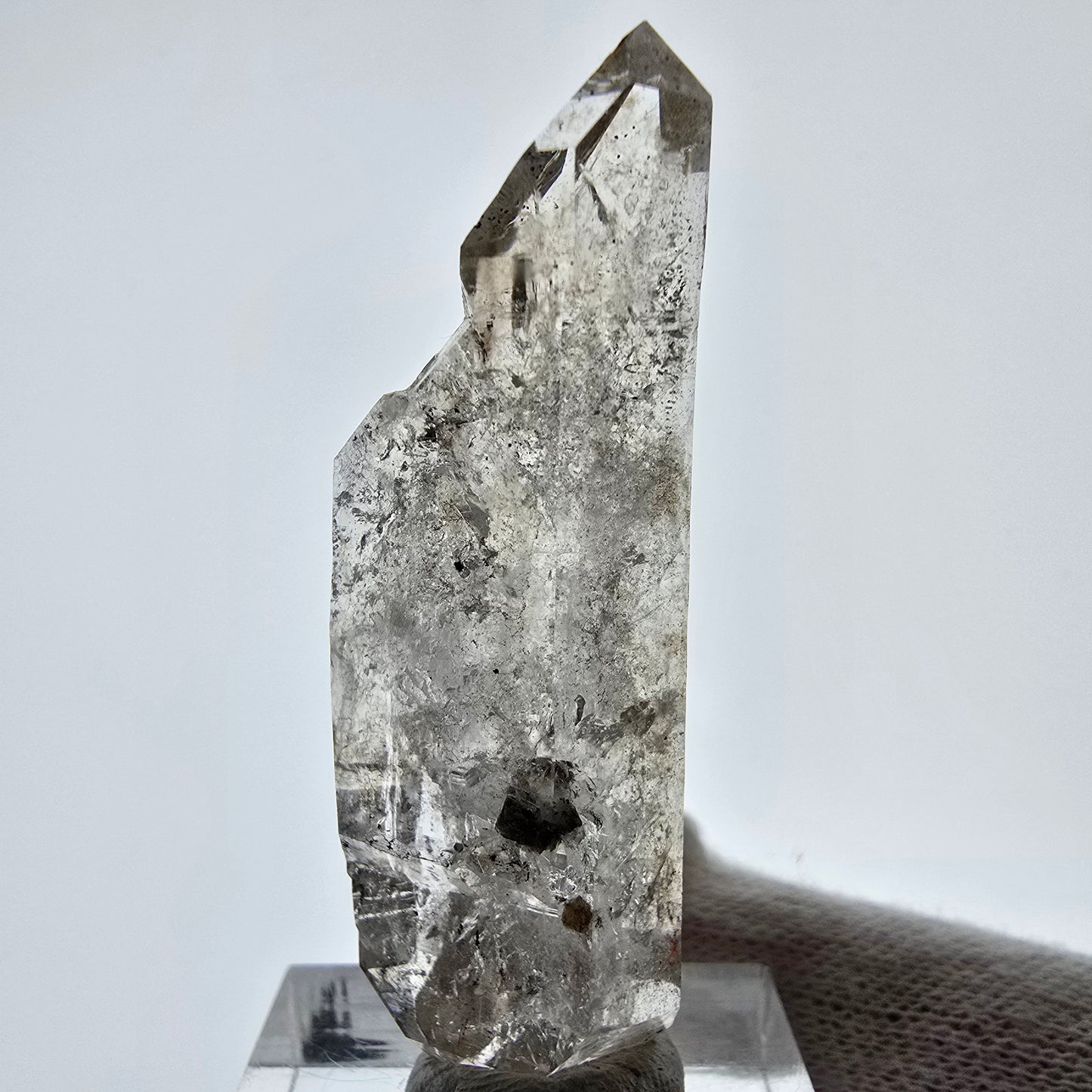 Sceptre de poche Saint-Valentin en quartz fumé fantôme squelette, Namibie 51 x 17 x 12 mm