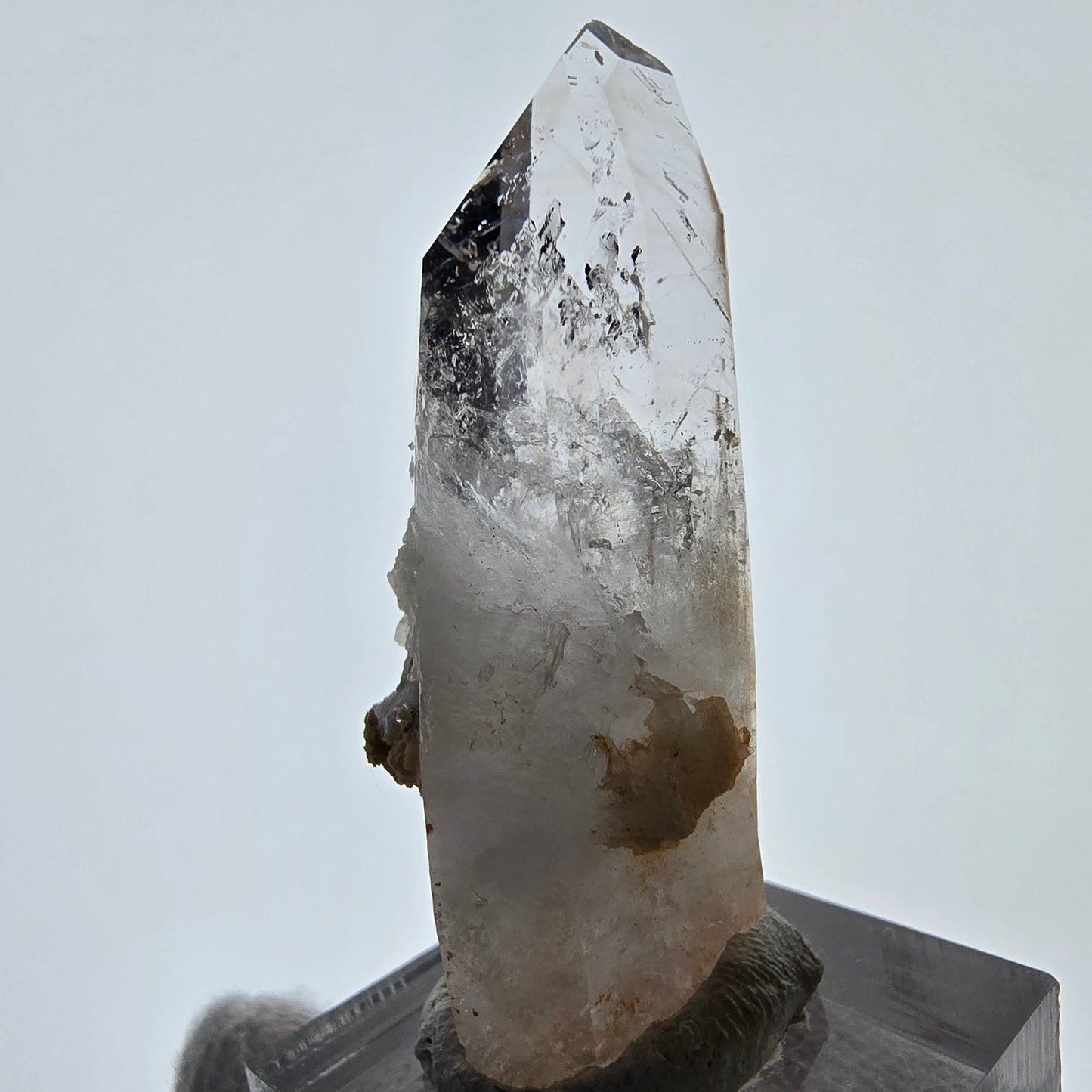 Skeleton Phantom Smoky Quartz Scepter Valentine Pocket, Namibia 51*20*17mm