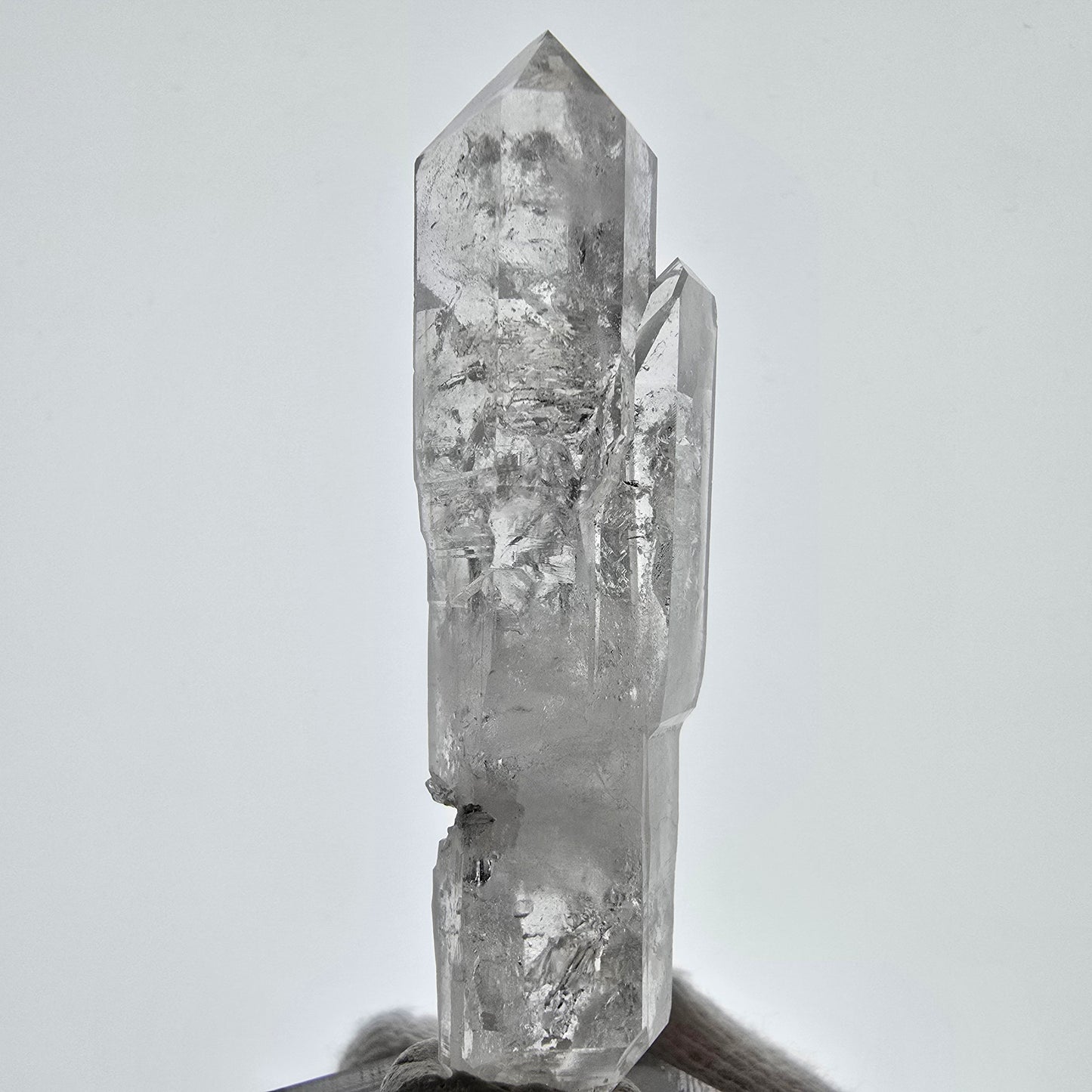 Sceptre de poche Saint-Valentin en quartz fumé fantôme squelette, Namibie 61 x 20 x 16 mm