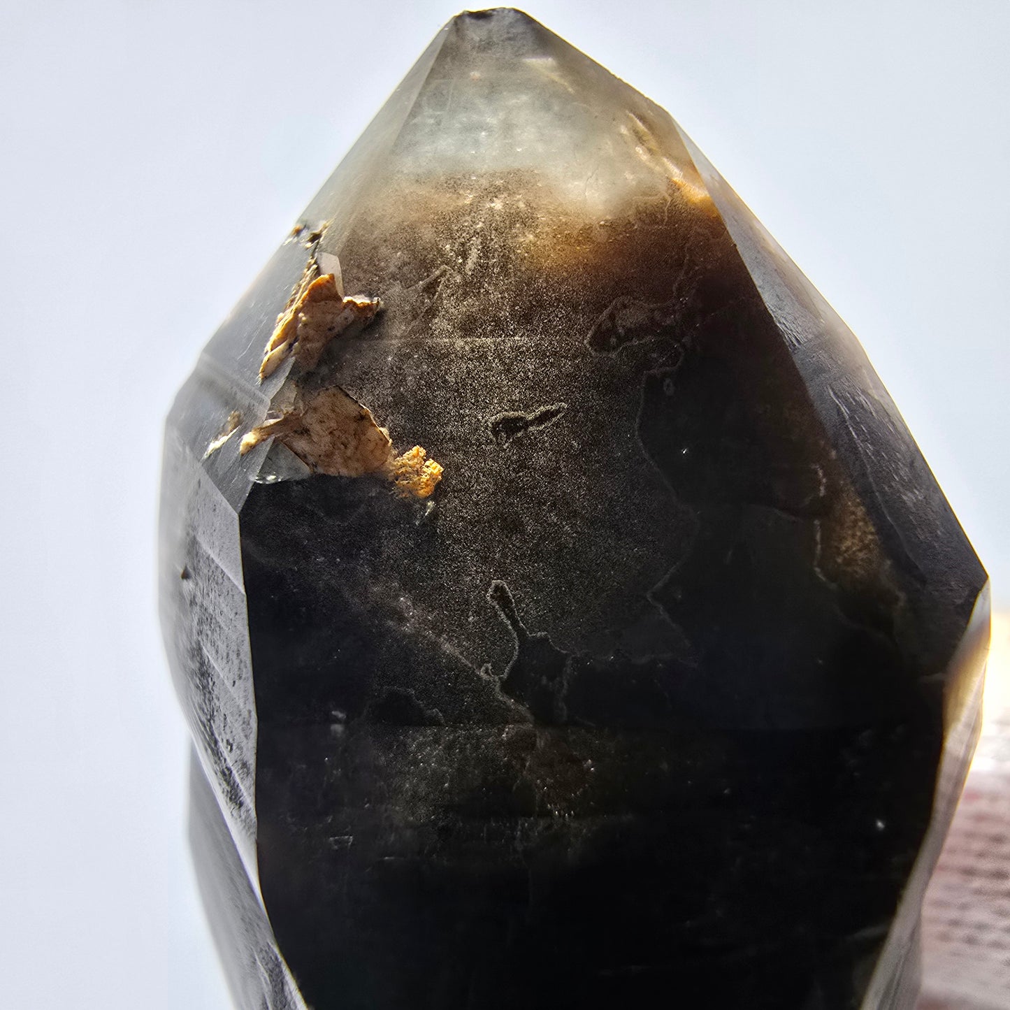 Sceptre de poche Saint-Valentin en quartz fumé fantôme squelette, Namibie 66 x 30 x 22 mm